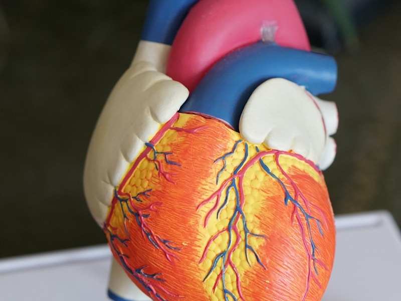 mriimageannotation mriimageannotation