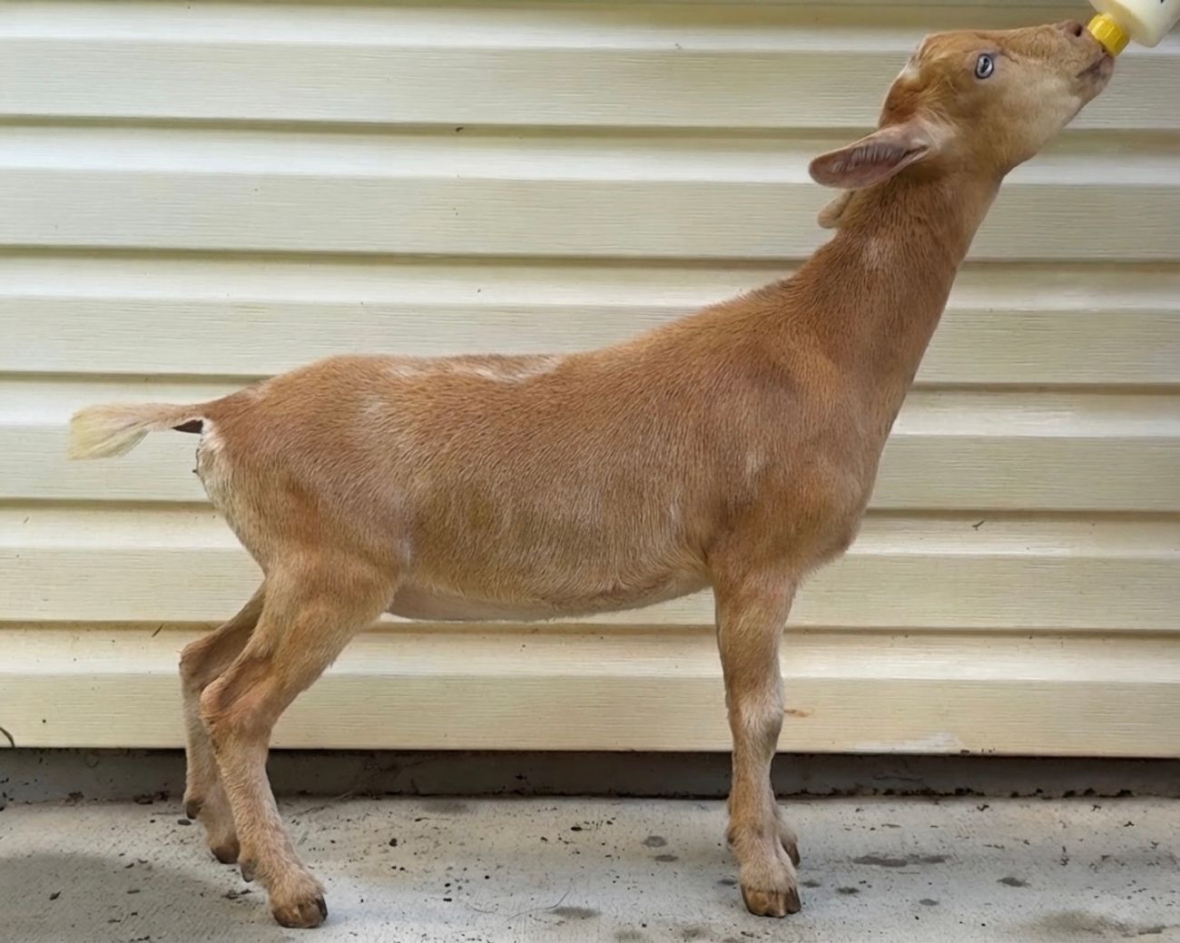 Pictured at three months old