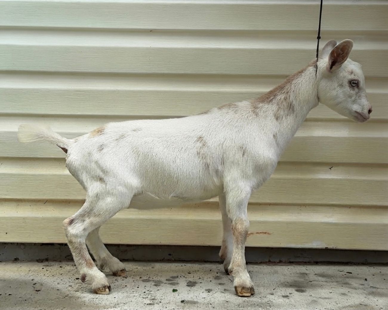 Pictured at three months old