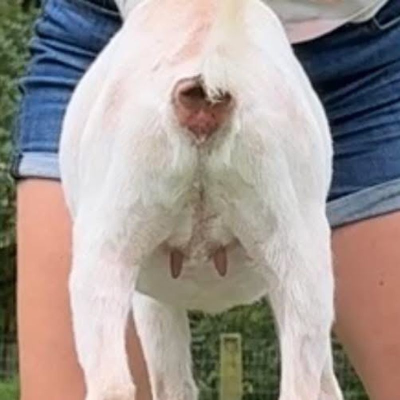 Pictured at three months old