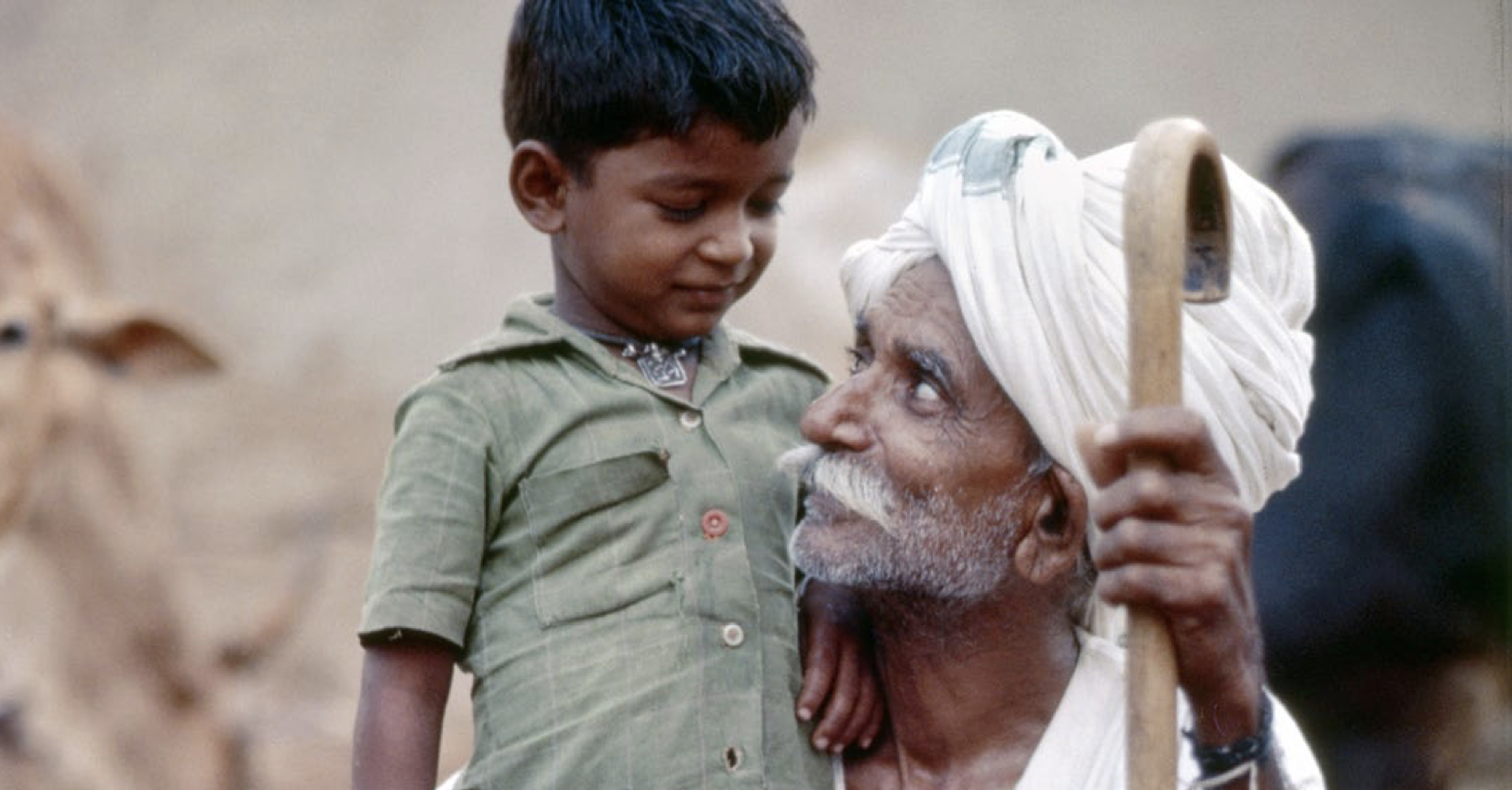 APF Annual Report 2011-12 - Asia Pacific Forum