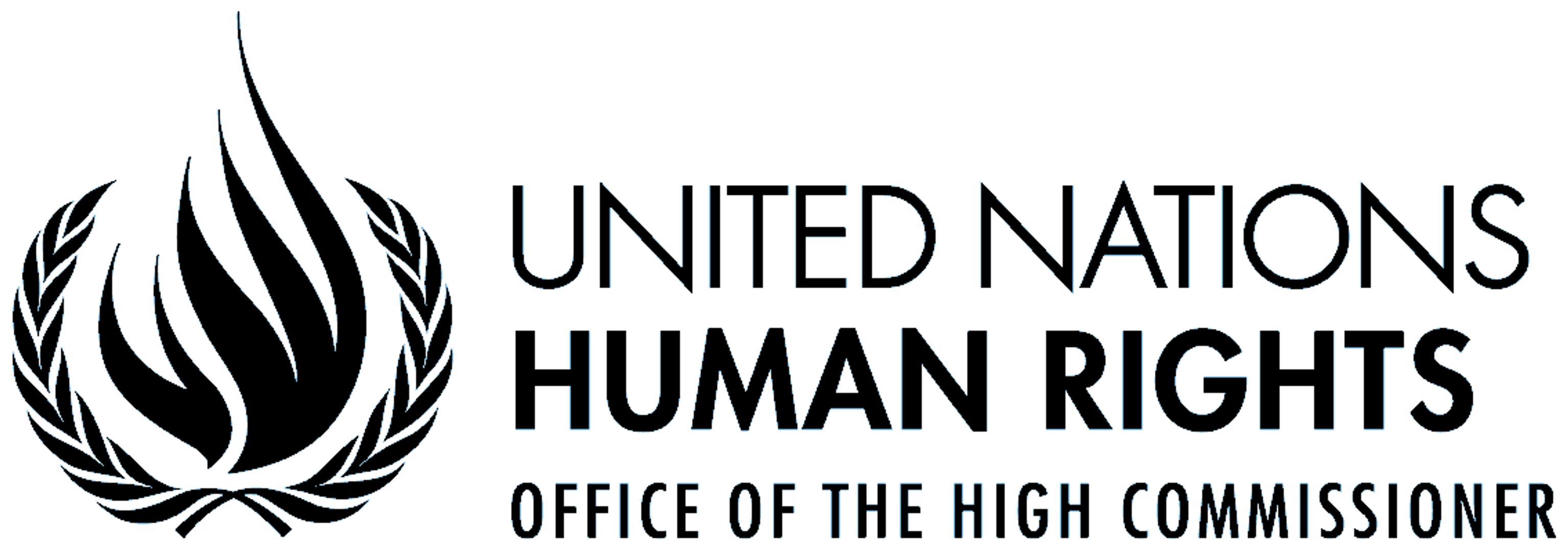 United Nations High Commissioner for Human Rights