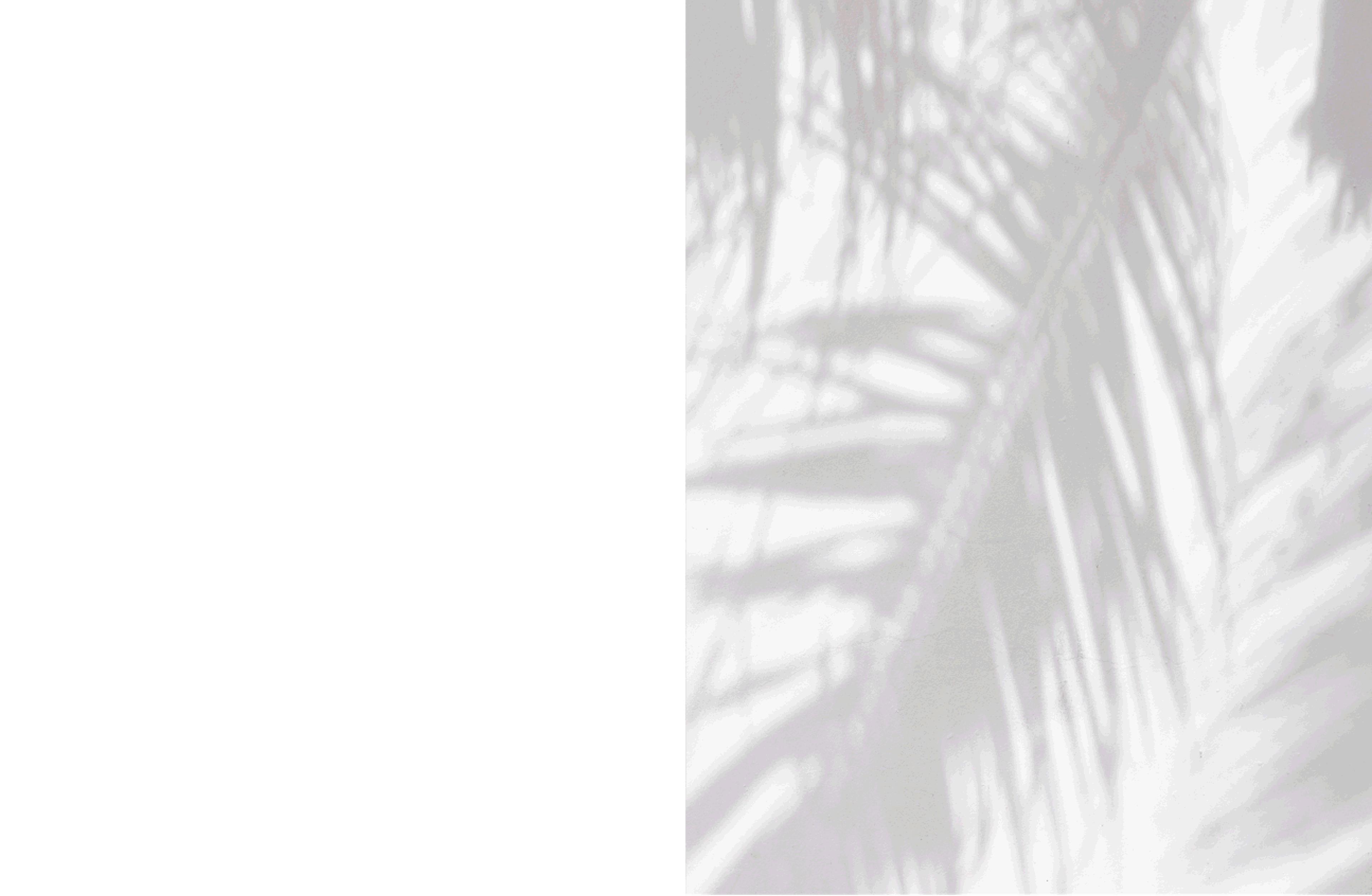 2000-book-v2