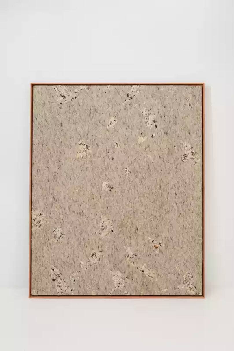 Asunción Molinos, Mil Leches, 2024_Colección Estatal Arte y Clima © MITECO