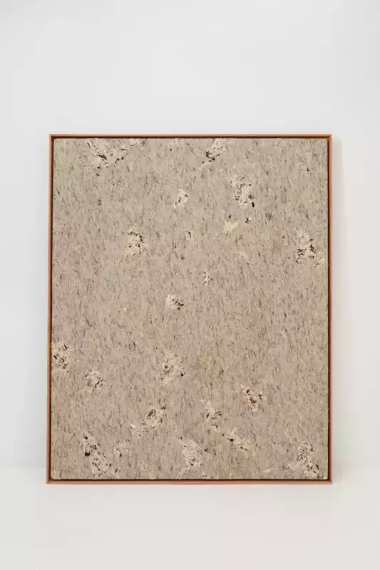 Asunción Molinos, Mil Leches, 2024_Colección Estatal Arte y Clima © MITECO