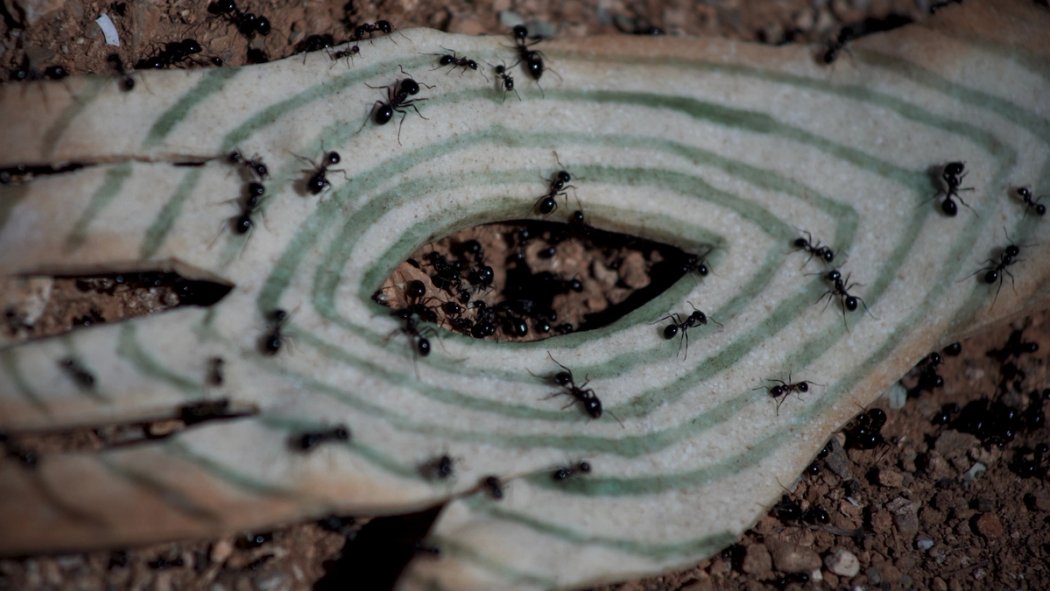 Sara Garcia_Molding Mourning Mouths_2025_video still_3