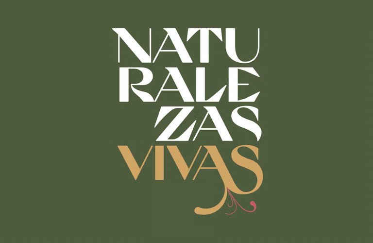 Naturalezas-Vivas (1)