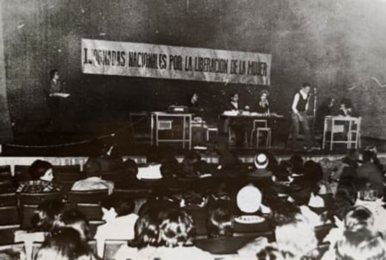 jornadas feministas (1)