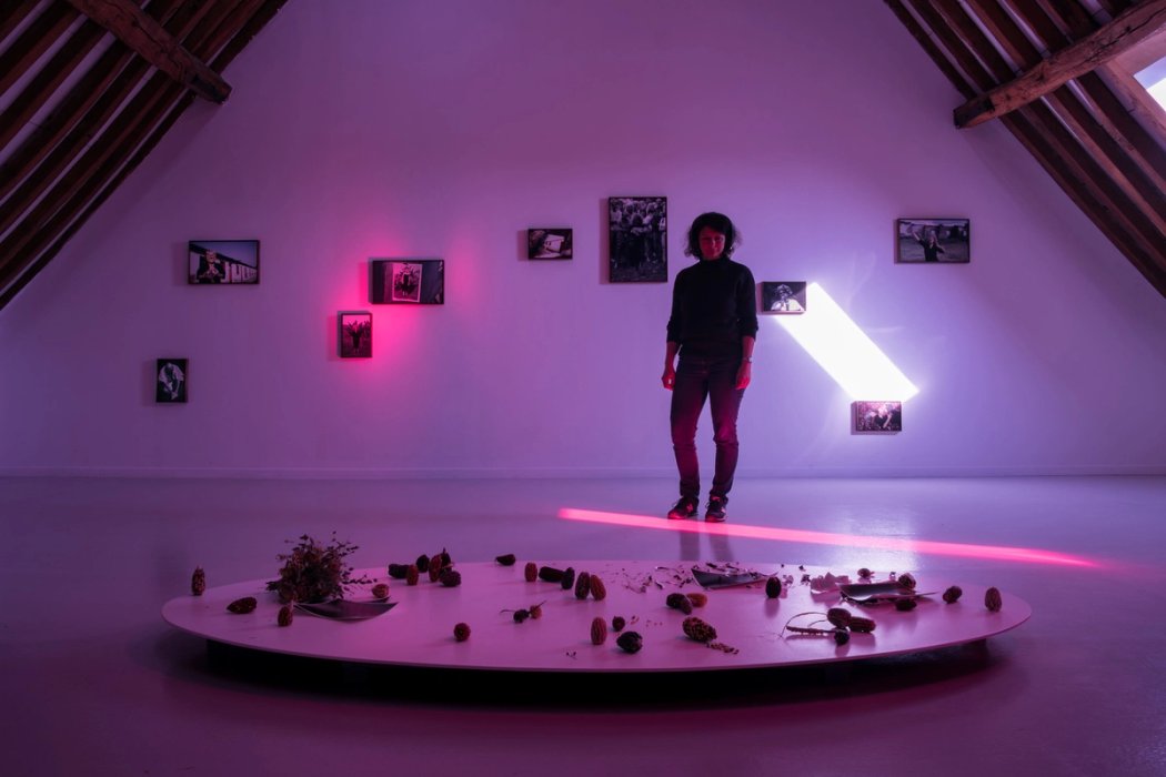 Vir Andres Hera_Snake Chamber_2025_Ferme du Buisson, fotografía de Ouroumov