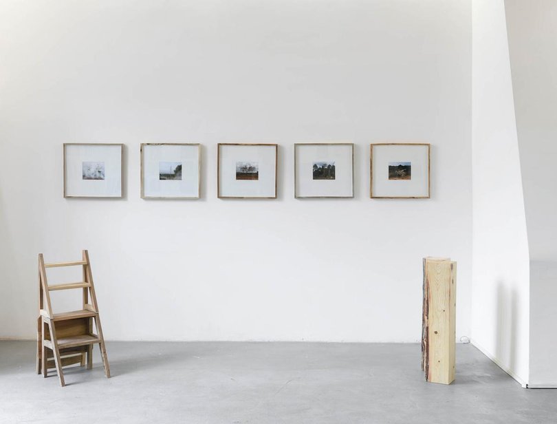 Laura Palau, Flexió Xilema, 2024_Colección Estatal Arte y Clima © MITECO