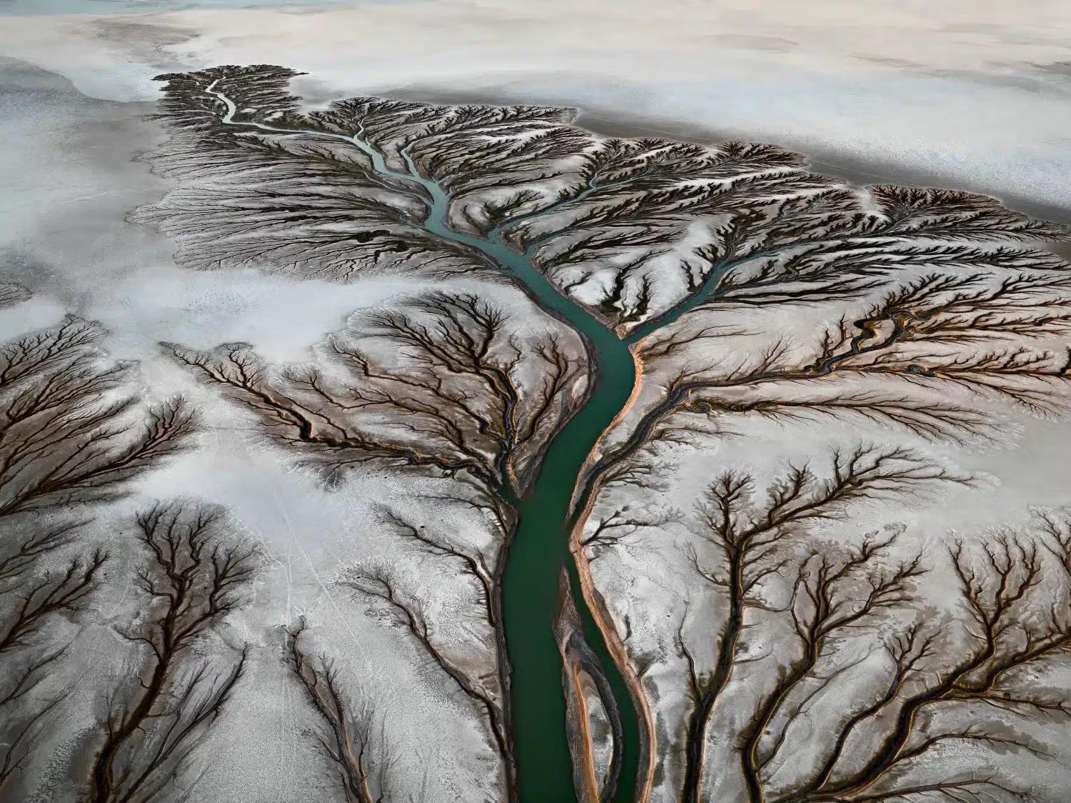 Colorado-River-Delta-2-Burtynsky.jpg (1)