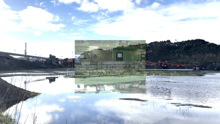 Industrias presentes_artista Andrea Molina