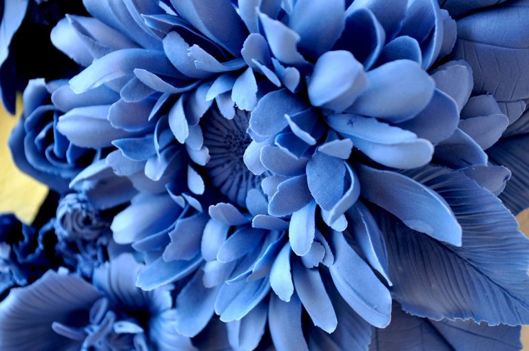 Noemi Iglesias_Echo Bloom_2026