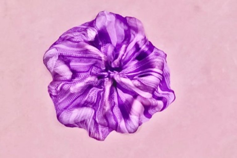 Amanda Piña, Florecimiento. 2024