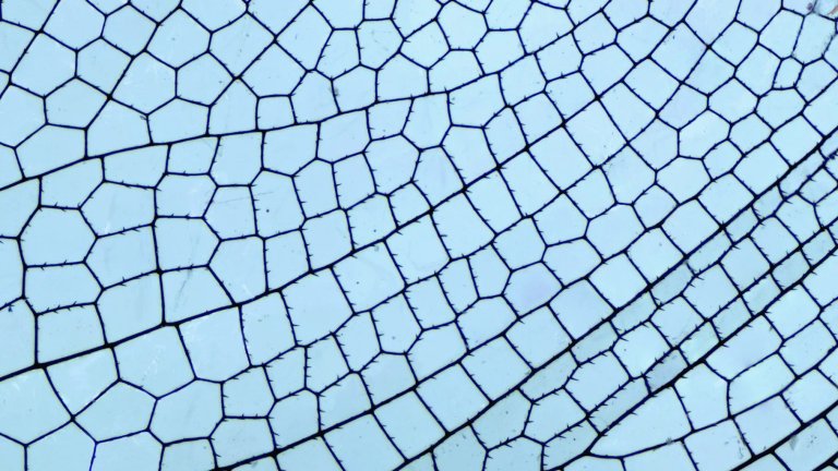 Estación Meteo_artista Enar de Dios