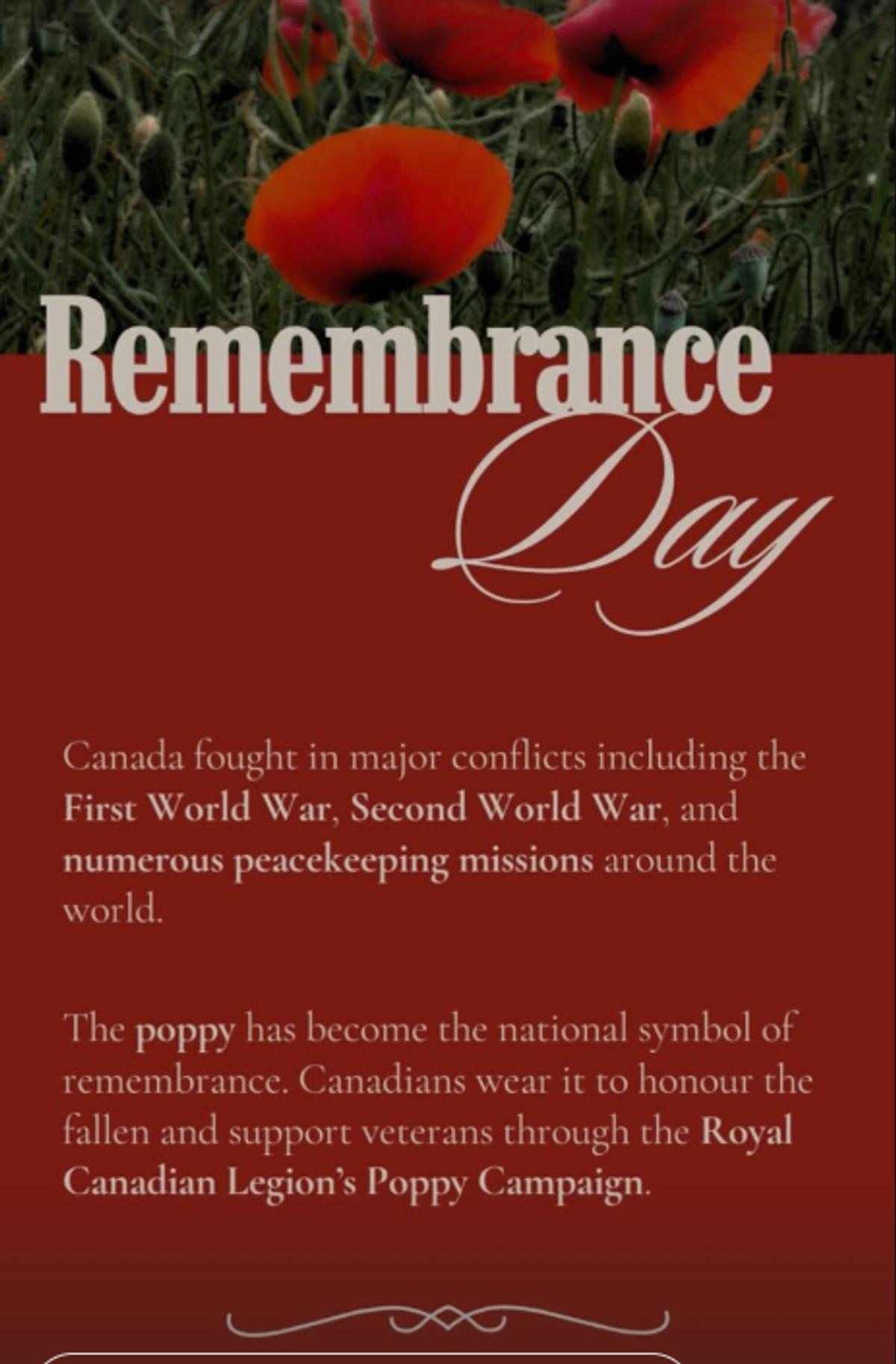 Rememberance Day photo 2