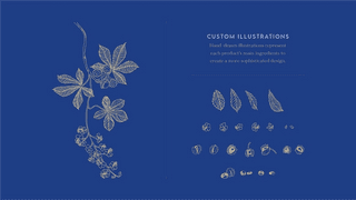 Royal Ritual Illustrations
