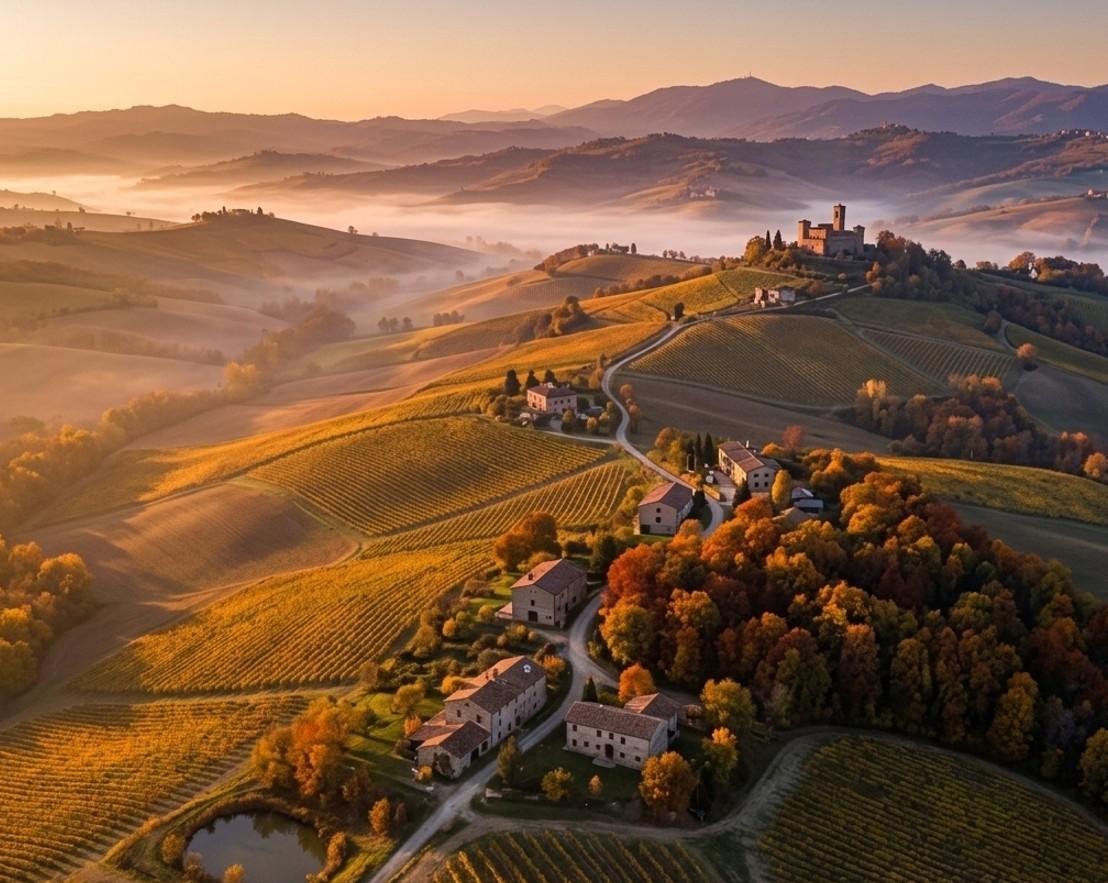 Convegno e Workshop - Basi tecniche: agricoltura e viticoltura di collina dinamica verso nuove sfide future