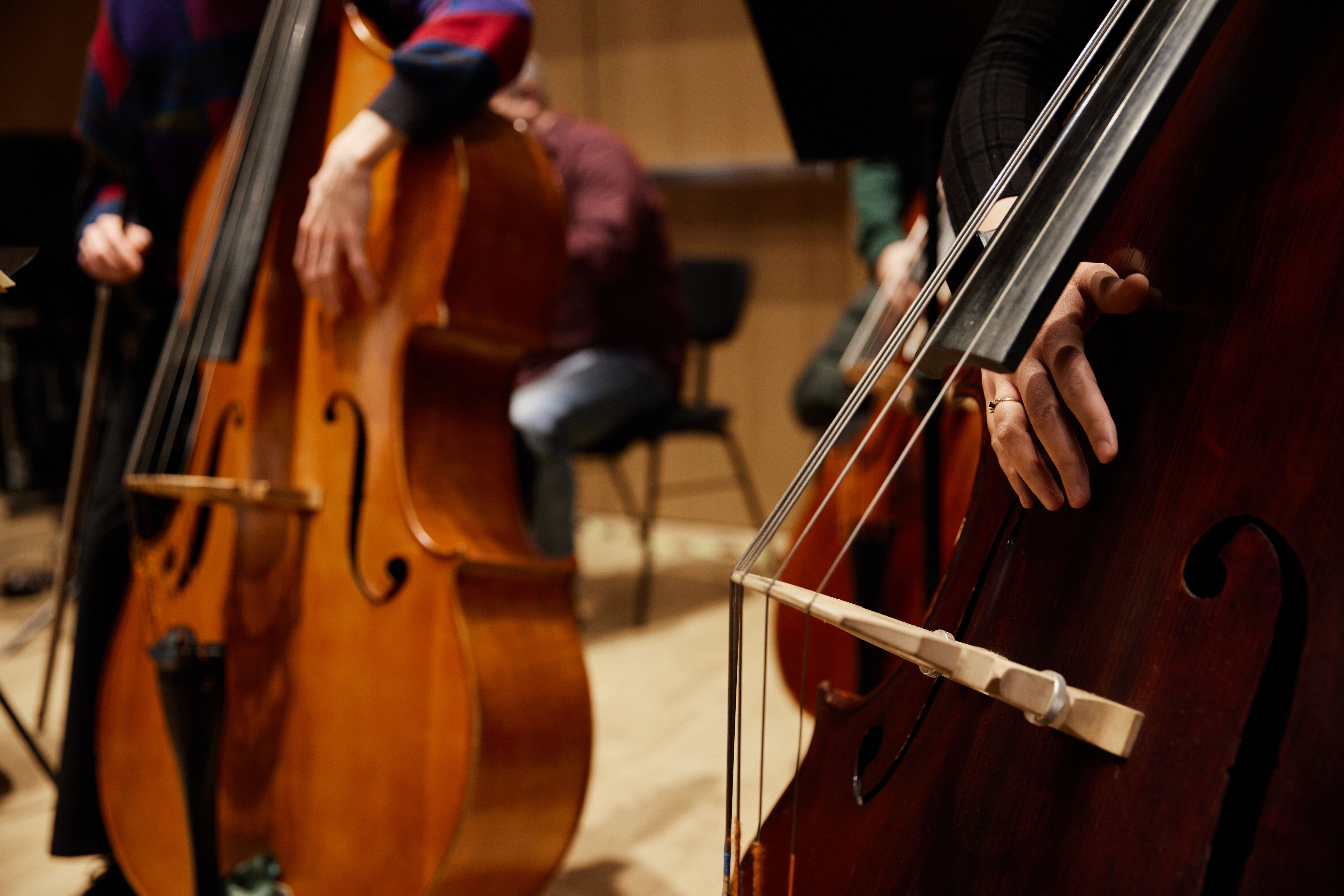 Junge Deutsche Philharmonie