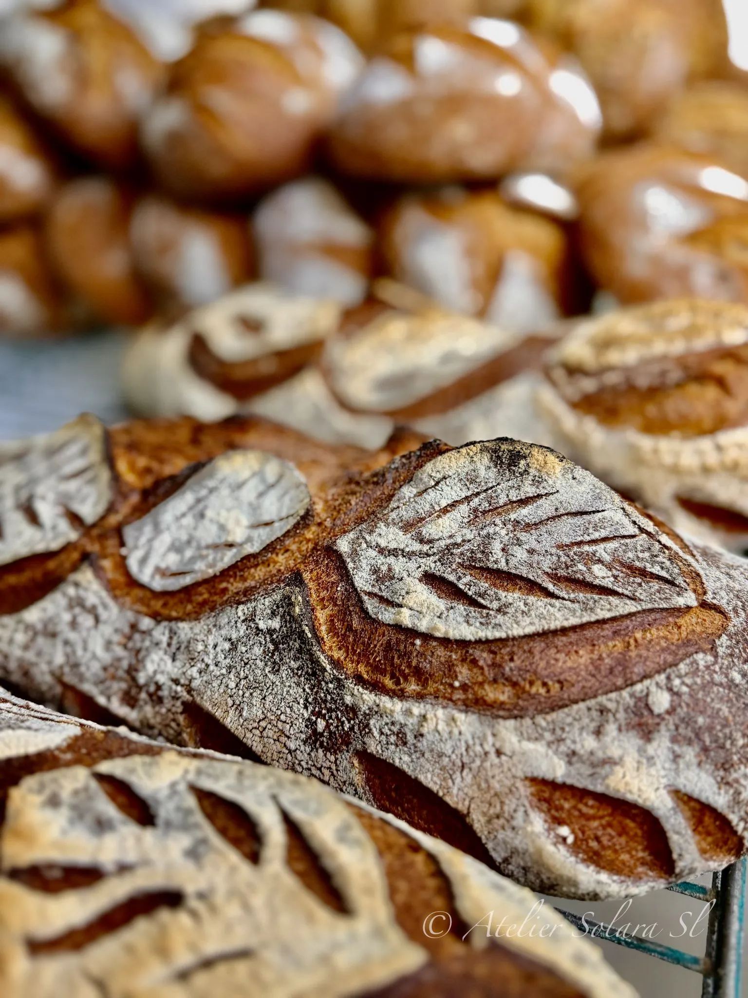 Le Marquis, pains au levain grignés en forme de feuille