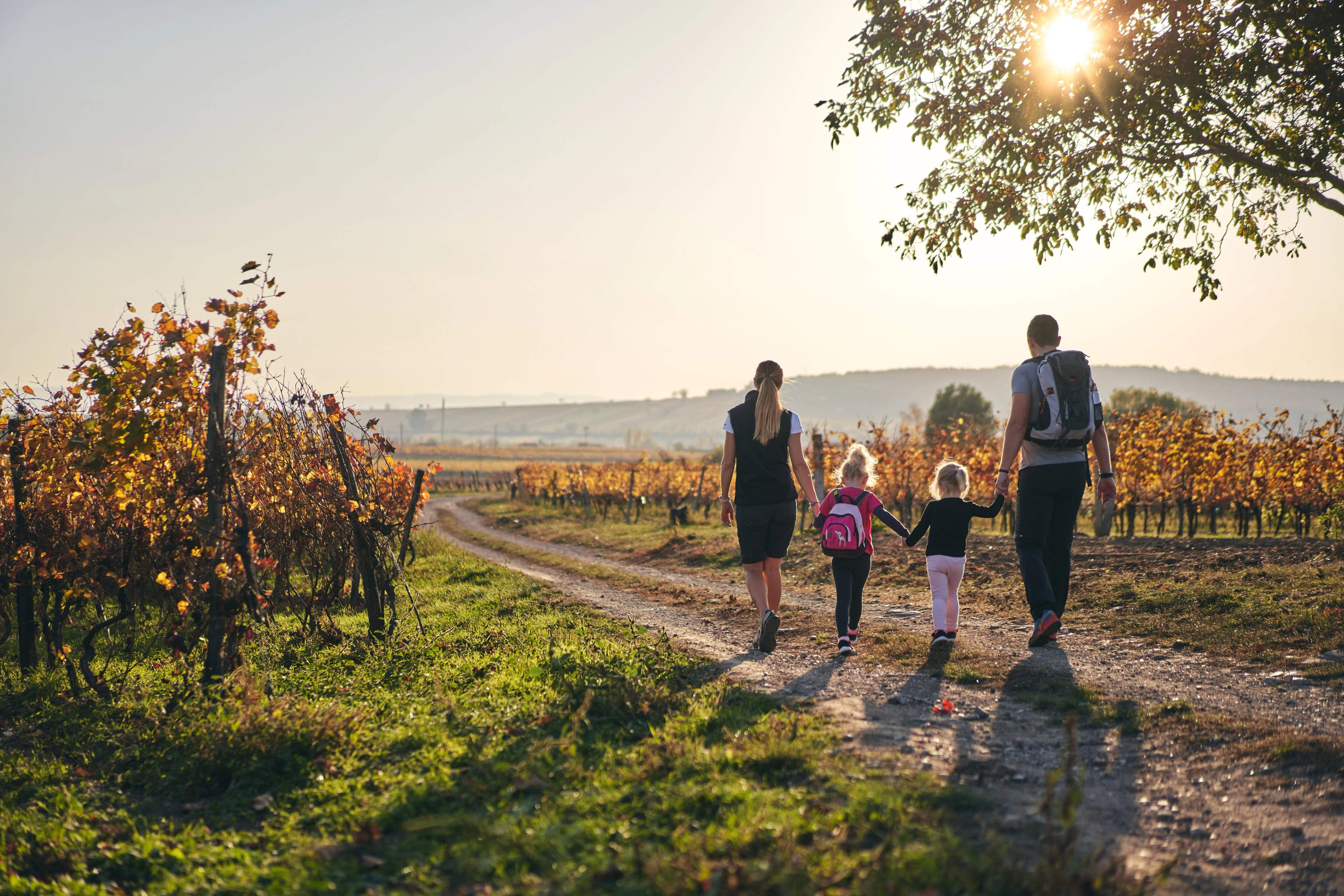 Wanderzeit in der Natur​​​​‌﻿‍﻿​‍​‍‌‍﻿﻿‌﻿​‍‌‍‍‌‌‍‌﻿‌‍‍‌‌‍﻿‍​‍​‍​﻿‍‍​‍​‍‌﻿​﻿‌‍​‌‌‍﻿‍‌‍‍‌‌﻿‌​‌﻿‍‌​‍﻿‍‌‍‍‌‌‍﻿﻿​‍​‍​‍﻿​​‍​‍‌‍‍​‌﻿​‍‌‍‌‌‌‍‌‍​‍​‍​﻿‍‍​‍​‍‌‍‍​‌﻿‌​‌﻿‌​‌﻿​​‌﻿​﻿​﻿‍‍​‍﻿﻿​‍﻿﻿‌﻿​﻿‌﻿‌​‌﻿‌‌‌‍‌​‌‍‍‌‌‍﻿﻿​‍﻿‍‌‍﻿‌‌‍﻿﻿‌﻿‌‌‌‍﻿‍‌﻿‌​‌‍​‌‌‍‍‌‌‍﻿‍‌﻿​﻿‌‍​‌‌‍﻿‍‌‍‌​‌‍﻿​‌‍​‌‌‍‍﻿‌‍‌‌‌﻿​﻿​‍﻿‍‌‍​‌‌﻿‌​​‍﻿﻿‌‍‍‌‌‍﻿‍‌﻿‌​‌‍‌‌‌‍﻿‍‌﻿‌​​‍﻿﻿‌‍‌‌‌‍‌​‌‍‍‌‌﻿‌​​‍﻿﻿‌‍﻿‌‌‍﻿﻿‌‍‌​‌‍‌‌​﻿﻿‌‌﻿​​‌﻿​‍‌‍‌‌‌﻿​﻿‌‍‌‌‌‍﻿‍‌﻿‌​‌‍​‌‌﻿‌​‌‍‍‌‌‍﻿﻿‌‍﻿‍​﻿‍﻿‌‍‍‌‌‍‌​​﻿﻿‌​﻿​‌​﻿​﻿​﻿‌‍‌‍‌​‌‍​‌​﻿​‌​﻿‌﻿​﻿‌﻿​‍﻿‌‌‍‌​​﻿‍‌​﻿​﻿​﻿‌​​‍﻿‌​﻿‌​​﻿​﻿​﻿​​‌‍​‍​‍﻿‌​﻿‍‌‌‍​‍​﻿‌‌‌‍​﻿​‍﻿‌​﻿‍​‌‍‌‌​﻿‍‌​﻿​​​﻿‌​​﻿‌​‌‍‌‌​﻿​‌‌‍​﻿‌‍​﻿​﻿​﻿‌‍​﻿​﻿‍﻿‌﻿‌​‌﻿‍‌‌﻿​​‌‍‌‌​﻿﻿‌‌﻿​​‌‍​‌‌‍‌﻿‌‍‌‌​﻿‍﻿‌﻿​​‌‍​‌‌﻿‌​‌‍‍​​﻿﻿‌‌‍​‌‌‍‌​‌﻿‌‍‌‍‌‌‌‍﻿‍‌﻿‌​‌﻿‌‌‌﻿​‍‌‍‌‌‌​‍‌‌‍﻿‌‌‍​‌‌‍‌﻿‌‍‌‌‌﻿​﻿​‍‌‌​﻿‌‌‌​​‍‌‌﻿﻿‌‍‍﻿‌‍‌‌‌﻿‍‌​‍‌‌​﻿​﻿‌​‌​​‍‌‌​﻿​﻿‌​‌​​‍‌‌​﻿​‍​﻿​‍​﻿‌​​﻿​﻿​﻿‌​​﻿‌​​﻿‌​‌‍‌‌‌‍‌​‌‍‌‍‌‍​‍‌‍​‍‌‍​‍​﻿​‌​‍‌‌​﻿​‍​﻿​‍​‍‌‌​﻿‌‌‌​‌​​‍﻿‍‌‍‍​‌‍‌‌‌‍​‌‌‍‌​‌‍‌‌‌﻿​‍​﻿﻿﻿‌‍​‍‌‍​‌‌﻿​﻿‌‍‌‌‌‌‌‌‌﻿​‍‌‍﻿​​﻿﻿‌‌‍‍​‌﻿‌​‌﻿‌​‌﻿​​‌﻿​﻿​‍‌‌​﻿​﻿‌​​‌​‍‌‌​﻿​‍‌​‌‍​‍‌‌​﻿​‍‌​‌‍‌﻿​﻿‌﻿‌​‌﻿‌‌‌‍‌​‌‍‍‌‌‍﻿﻿​‍﻿‍‌‍﻿‌‌‍﻿﻿‌﻿‌‌‌‍﻿‍‌﻿‌​‌‍​‌‌‍‍‌‌‍﻿‍‌﻿​﻿‌‍​‌‌‍﻿‍‌‍‌​‌‍﻿​‌‍​‌‌‍‍﻿‌‍‌‌‌﻿​﻿​‍﻿‍‌‍​‌‌﻿‌​​‍‌‍‌‍‍‌‌‍‌​​﻿﻿‌​﻿​‌​﻿​﻿​﻿‌‍‌‍‌​‌‍​‌​﻿​‌​﻿‌﻿​﻿‌﻿​‍﻿‌‌‍‌​​﻿‍‌​﻿​﻿​﻿‌​​‍﻿‌​﻿‌​​﻿​﻿​﻿​​‌‍​‍​‍﻿‌​﻿‍‌‌‍​‍​﻿‌‌‌‍​﻿​‍﻿‌​﻿‍​‌‍‌‌​﻿‍‌​﻿​​​﻿‌​​﻿‌​‌‍‌‌​﻿​‌‌‍​﻿‌‍​﻿​﻿​﻿‌‍​﻿​‍‌‍‌﻿‌​‌﻿‍‌‌﻿​​‌‍‌‌​﻿﻿‌‌﻿​​‌‍​‌‌‍‌﻿‌‍‌‌​‍‌‍‌﻿​​‌‍​‌‌﻿‌​‌‍‍​​﻿﻿‌‌‍​‌‌‍‌​‌﻿‌‍‌‍‌‌‌‍﻿‍‌﻿‌​‌﻿‌‌‌﻿​‍‌‍‌‌‌​‍‌‌‍﻿‌‌‍​‌‌‍‌﻿‌‍‌‌‌﻿​﻿​‍‌‌​﻿‌‌‌​​‍‌‌﻿﻿‌‍‍﻿‌‍‌‌‌﻿‍‌​‍‌‌​﻿​﻿‌​‌​​‍‌‌​﻿​﻿‌​‌​​‍‌‌​﻿​‍​﻿​‍​﻿‌​​﻿​﻿​﻿‌​​﻿‌​​﻿‌​‌‍‌‌‌‍‌​‌‍‌‍‌‍​‍‌‍​‍‌‍​‍​﻿​‌​‍‌‌​﻿​‍​﻿​‍​‍‌‌​﻿‌‌‌​‌​​‍﻿‍‌‍‍​‌‍‌‌‌‍​‌‌‍‌​‌‍‌‌‌﻿​‍​‍‌‍‌﻿​​‌‍‌‌‌﻿​‍‌﻿​﻿‌﻿​​‌‍‌‌‌‍​﻿‌﻿‌​‌‍‍‌‌﻿‌‍‌‍‌‌​﻿﻿‌‌﻿​​‌﻿‌‌‌‍​‍‌‍﻿​‌‍‍‌‌﻿​﻿‌‍‍​‌‍‌‌‌‍‌​​‍​‍‌﻿﻿‌