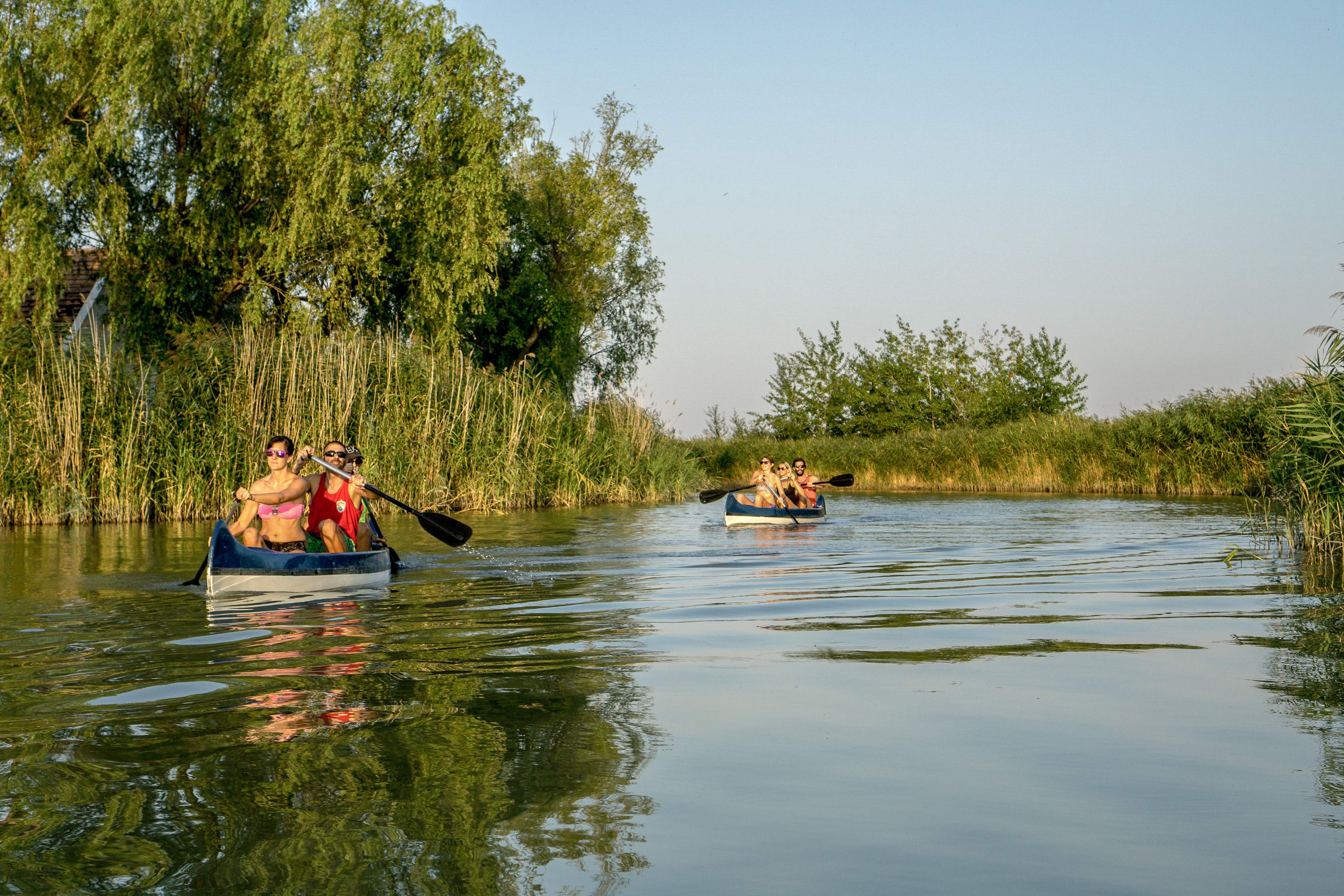 Mit-dem-Kanu-durchs-Schilf