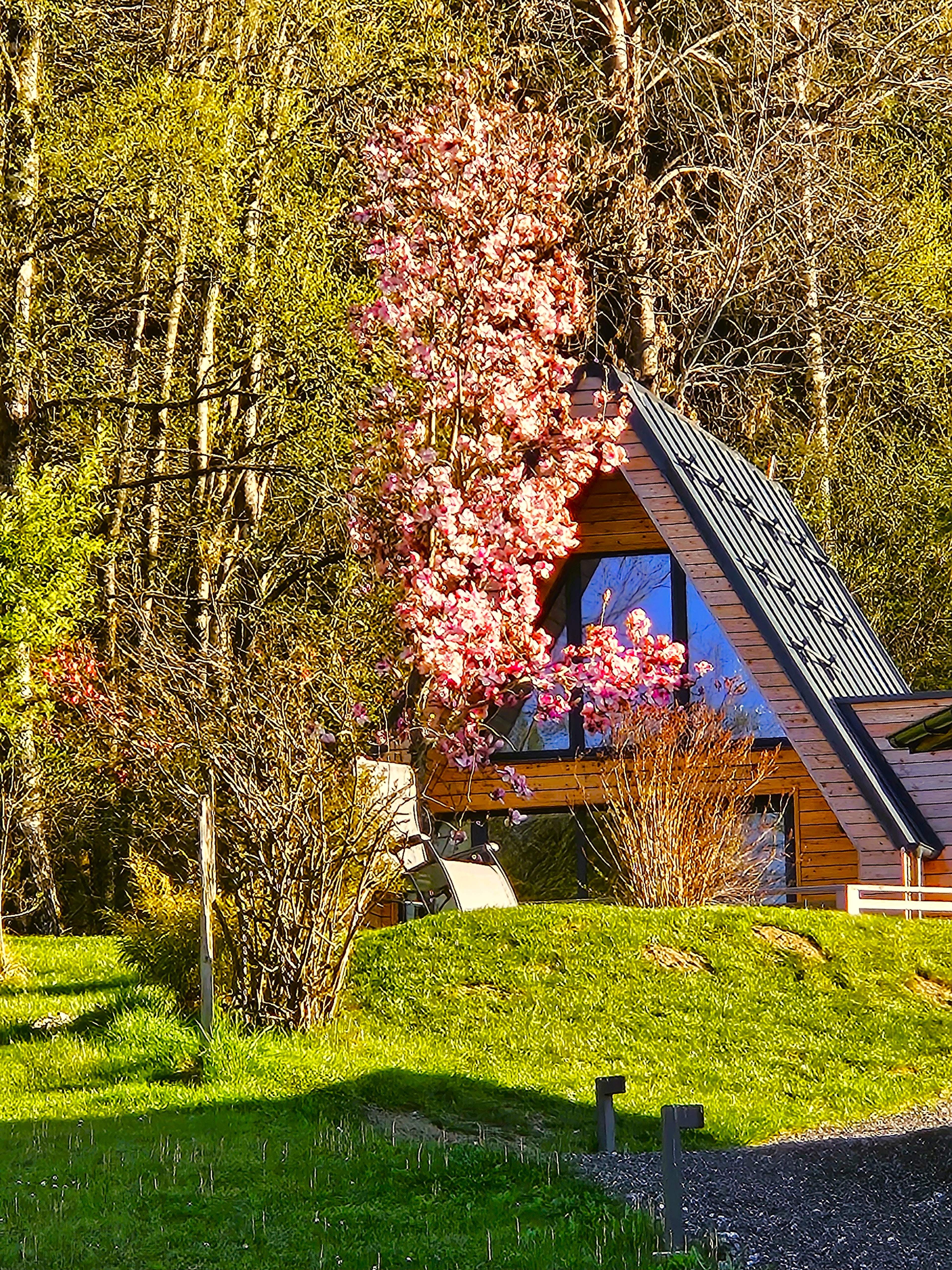 chalet village in spring​​​​‌﻿‍﻿​‍​‍‌‍﻿﻿‌﻿​‍‌‍‍‌‌‍‌﻿‌‍‍‌‌‍﻿‍​‍​‍​﻿‍‍​‍​‍‌﻿​﻿‌‍​‌‌‍﻿‍‌‍‍‌‌﻿‌​‌﻿‍‌​‍﻿‍‌‍‍‌‌‍﻿﻿​‍​‍​‍﻿​​‍​‍‌‍‍​‌﻿​‍‌‍‌‌‌‍‌‍​‍​‍​﻿‍‍​‍​‍‌‍‍​‌﻿‌​‌﻿‌​‌﻿​​‌﻿​﻿​﻿‍‍​‍﻿﻿​‍﻿﻿‌﻿​﻿‌﻿‌​‌﻿‌‌‌‍‌​‌‍‍‌‌‍﻿﻿​‍﻿‍‌‍﻿‌‌‍﻿﻿‌﻿‌‌‌‍﻿‍‌﻿‌​‌‍​‌‌‍‍‌‌‍﻿‍‌﻿​﻿‌‍​‌‌‍﻿‍‌‍‌​‌‍﻿​‌‍​‌‌‍‍﻿‌‍‌‌‌﻿​﻿​‍﻿‍‌‍​‌‌﻿‌​​‍﻿﻿‌‍‍‌‌‍﻿‍‌﻿‌​‌‍‌‌‌‍﻿‍‌﻿‌​​‍﻿﻿‌‍‌‌‌‍‌​‌‍‍‌‌﻿‌​​‍﻿﻿‌‍﻿‌‌‍﻿﻿‌‍‌​‌‍‌‌​﻿﻿‌‌﻿​​‌﻿​‍‌‍‌‌‌﻿​﻿‌‍‌‌‌‍﻿‍‌﻿‌​‌‍​‌‌﻿‌​‌‍‍‌‌‍﻿﻿‌‍﻿‍​﻿‍﻿‌‍‍‌‌‍‌​​﻿﻿‌​﻿​​​﻿‍‌‌‍​‍​﻿‌​‌‍​‍‌‍​‌​﻿‍‌​﻿‌‌​‍﻿‌‌‍‌‌‌‍​‌‌‍​﻿‌‍‌‍​‍﻿‌​﻿‌​‌‍‌‍‌‍​﻿​﻿‌﻿​‍﻿‌​﻿‍​‌‍‌​​﻿​‍‌‍‌​​‍﻿‌‌‍​﻿​﻿‌‍‌‍‌‌​﻿‌​​﻿‌‌‌‍‌​​﻿‍​​﻿‌‍‌‍‌‌‌‍‌‍​﻿‌​​﻿​‍​﻿‍﻿‌﻿‌​‌﻿‍‌‌﻿​​‌‍‌‌​﻿﻿‌‌﻿​​‌‍​‌‌‍‌﻿‌‍‌‌​﻿‍﻿‌﻿​​‌‍​‌‌﻿‌​‌‍‍​​﻿﻿‌‌﻿​‍‌‍﻿﻿‌‍﻿﻿‌‍﻿‌‌﻿​﻿‌‌​﻿‌‍﻿​‌‍‍‌‌‍‌​‌‍‌‌‌﻿​﻿​‍‌‌​﻿‌‌‌​​‍‌‌﻿﻿‌‍‍﻿‌‍‌‌‌﻿‍‌​‍‌‌​﻿​﻿‌​‌​​‍‌‌​﻿​﻿‌​‌​​‍‌‌​﻿​‍​﻿​‍‌‍​‌​﻿‌﻿​﻿​‍‌‍‌‌‌‍‌‍‌‍​‍‌‍‌‍​﻿​​​﻿​‌‌‍‌‍​﻿‌‍‌‍‌‌​‍‌‌​﻿​‍​﻿​‍​‍‌‌​﻿‌‌‌​‌​​‍﻿‍‌﻿​​‌‍‍‌‌‍​﻿‌﻿‌​‌﻿‌‌‌﻿​‍‌‍‌‌‌﻿​﻿​‍‌‌​﻿‌‌‌​​‍‌‌﻿﻿‌‍‍﻿‌‍‌‌‌﻿‍‌​‍‌‌​﻿​﻿‌​‌​​‍‌‌​﻿​﻿‌​‌​​‍‌‌​﻿​‍​﻿​‍‌‍‌​‌‍‌‍​﻿‌​​﻿‌﻿‌‍‌‍‌‍‌‌​﻿​﻿​﻿​​‌‍‌‍​﻿‌﻿‌‍‌‌​﻿‌‌​‍‌‌​﻿​‍​﻿​‍​‍‌‌​﻿‌‌‌​‌​​‍﻿‍‌‍﻿‍‌‍​‌‌‍﻿‌‌‍‌‌​﻿﻿﻿‌‍​‍‌‍​‌‌﻿​﻿‌‍‌‌‌‌‌‌‌﻿​‍‌‍﻿​​﻿﻿‌‌‍‍​‌﻿‌​‌﻿‌​‌﻿​​‌﻿​﻿​‍‌‌​﻿​﻿‌​​‌​‍‌‌​﻿​‍‌​‌‍​‍‌‌​﻿​‍‌​‌‍‌﻿​﻿‌﻿‌​‌﻿‌‌‌‍‌​‌‍‍‌‌‍﻿﻿​‍﻿‍‌‍﻿‌‌‍﻿﻿‌﻿‌‌‌‍﻿‍‌﻿‌​‌‍​‌‌‍‍‌‌‍﻿‍‌﻿​﻿‌‍​‌‌‍﻿‍‌‍‌​‌‍﻿​‌‍​‌‌‍‍﻿‌‍‌‌‌﻿​﻿​‍﻿‍‌‍​‌‌﻿‌​​‍‌‍‌‍‍‌‌‍‌​​﻿﻿‌​﻿​​​﻿‍‌‌‍​‍​﻿‌​‌‍​‍‌‍​‌​﻿‍‌​﻿‌‌​‍﻿‌‌‍‌‌‌‍​‌‌‍​﻿‌‍‌‍​‍﻿‌​﻿‌​‌‍‌‍‌‍​﻿​﻿‌﻿​‍﻿‌​﻿‍​‌‍‌​​﻿​‍‌‍‌​​‍﻿‌‌‍​﻿​﻿‌‍‌‍‌‌​﻿‌​​﻿‌‌‌‍‌​​﻿‍​​﻿‌‍‌‍‌‌‌‍‌‍​﻿‌​​﻿​‍​‍‌‍‌﻿‌​‌﻿‍‌‌﻿​​‌‍‌‌​﻿﻿‌‌﻿​​‌‍​‌‌‍‌﻿‌‍‌‌​‍‌‍‌﻿​​‌‍​‌‌﻿‌​‌‍‍​​﻿﻿‌‌﻿​‍‌‍﻿﻿‌‍﻿﻿‌‍﻿‌‌﻿​﻿‌‌​﻿‌‍﻿​‌‍‍‌‌‍‌​‌‍‌‌‌﻿​﻿​‍‌‌​﻿‌‌‌​​‍‌‌﻿﻿‌‍‍﻿‌‍‌‌‌﻿‍‌​‍‌‌​﻿​﻿‌​‌​​‍‌‌​﻿​﻿‌​‌​​‍‌‌​﻿​‍​﻿​‍‌‍​‌​﻿‌﻿​﻿​‍‌‍‌‌‌‍‌‍‌‍​‍‌‍‌‍​﻿​​​﻿​‌‌‍‌‍​﻿‌‍‌‍‌‌​‍‌‌​﻿​‍​﻿​‍​‍‌‌​﻿‌‌‌​‌​​‍﻿‍‌﻿​​‌‍‍‌‌‍​﻿‌﻿‌​‌﻿‌‌‌﻿​‍‌‍‌‌‌﻿​﻿​‍‌‌​﻿‌‌‌​​‍‌‌﻿﻿‌‍‍﻿‌‍‌‌‌﻿‍‌​‍‌‌​﻿​﻿‌​‌​​‍‌‌​﻿​﻿‌​‌​​‍‌‌​﻿​‍​﻿​‍‌‍‌​‌‍‌‍​﻿‌​​﻿‌﻿‌‍‌‍‌‍‌‌​﻿​﻿​﻿​​‌‍‌‍​﻿‌﻿‌‍‌‌​﻿‌‌​‍‌‌​﻿​‍​﻿​‍​‍‌‌​﻿‌‌‌​‌​​‍﻿‍‌‍﻿‍‌‍​‌‌‍﻿‌‌‍‌‌​‍‌‍‌﻿​​‌‍‌‌‌﻿​‍‌﻿​﻿‌﻿​​‌‍‌‌‌‍​﻿‌﻿‌​‌‍‍‌‌﻿‌‍‌‍‌‌​﻿﻿‌‌﻿​​‌﻿‌‌‌‍​‍‌‍﻿​‌‍‍‌‌﻿​﻿‌‍‍​‌‍‌‌‌‍‌​​‍​‍‌﻿﻿‌