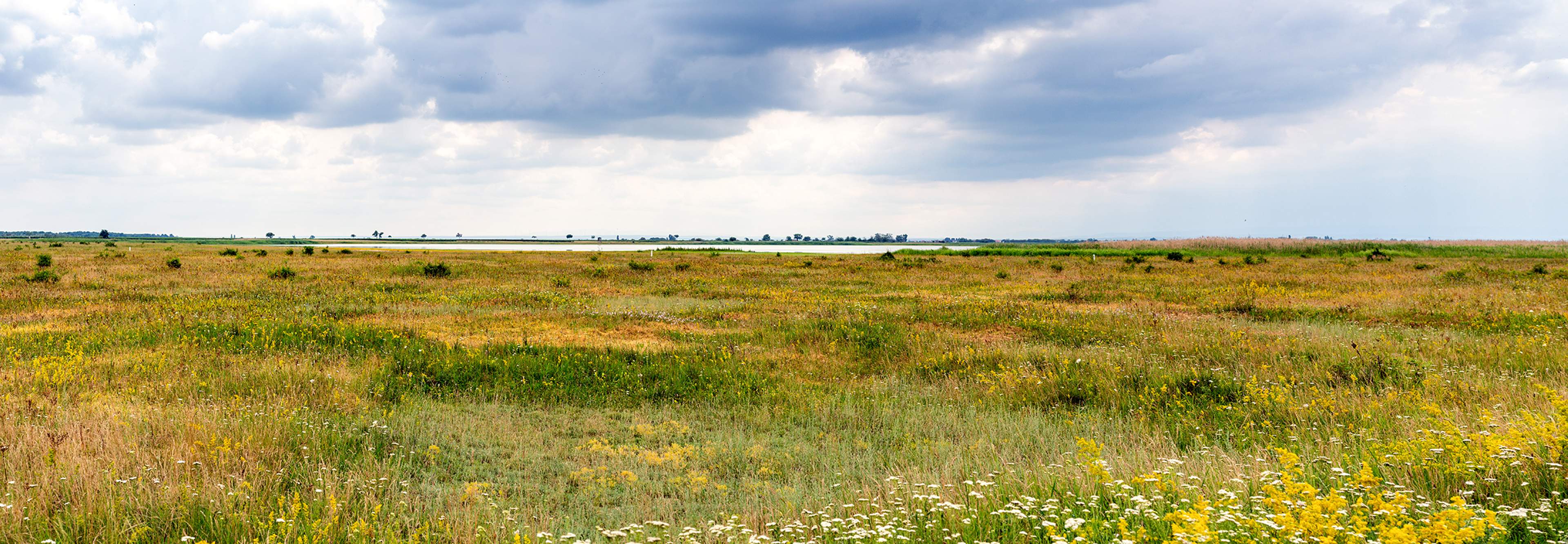 Nationalpark Lange Lacke​​​​‌﻿‍﻿​‍​‍‌‍﻿﻿‌﻿​‍‌‍‍‌‌‍‌﻿‌‍‍‌‌‍﻿‍​‍​‍​﻿‍‍​‍​‍‌﻿​﻿‌‍​‌‌‍﻿‍‌‍‍‌‌﻿‌​‌﻿‍‌​‍﻿‍‌‍‍‌‌‍﻿﻿​‍​‍​‍﻿​​‍​‍‌‍‍​‌﻿​‍‌‍‌‌‌‍‌‍​‍​‍​﻿‍‍​‍​‍‌‍‍​‌﻿‌​‌﻿‌​‌﻿​​‌﻿​﻿​﻿‍‍​‍﻿﻿​‍﻿﻿‌﻿​﻿‌﻿‌​‌﻿‌‌‌‍‌​‌‍‍‌‌‍﻿﻿​‍﻿‍‌‍﻿‌‌‍﻿﻿‌﻿‌‌‌‍﻿‍‌﻿‌​‌‍​‌‌‍‍‌‌‍﻿‍‌﻿​﻿‌‍​‌‌‍﻿‍‌‍‌​‌‍﻿​‌‍​‌‌‍‍﻿‌‍‌‌‌﻿​﻿​‍﻿‍‌‍​‌‌﻿‌​​‍﻿﻿‌‍‍‌‌‍﻿‍‌﻿‌​‌‍‌‌‌‍﻿‍‌﻿‌​​‍﻿﻿‌‍‌‌‌‍‌​‌‍‍‌‌﻿‌​​‍﻿﻿‌‍﻿‌‌‍﻿﻿‌‍‌​‌‍‌‌​﻿﻿‌‌﻿​​‌﻿​‍‌‍‌‌‌﻿​﻿‌‍‌‌‌‍﻿‍‌﻿‌​‌‍​‌‌﻿‌​‌‍‍‌‌‍﻿﻿‌‍﻿‍​﻿‍﻿‌‍‍‌‌‍‌​​﻿﻿‌​﻿​‌​﻿​﻿​﻿‌‍‌‍‌​‌‍​‌​﻿​‌​﻿‌﻿​﻿‌﻿​‍﻿‌‌‍‌​​﻿‍‌​﻿​﻿​﻿‌​​‍﻿‌​﻿‌​​﻿​﻿​﻿​​‌‍​‍​‍﻿‌​﻿‍‌‌‍​‍​﻿‌‌‌‍​﻿​‍﻿‌​﻿‍​‌‍‌‌​﻿‍‌​﻿​​​﻿‌​​﻿‌​‌‍‌‌​﻿​‌‌‍​﻿‌‍​﻿​﻿​﻿‌‍​﻿​﻿‍﻿‌﻿‌​‌﻿‍‌‌﻿​​‌‍‌‌​﻿﻿‌‌﻿​​‌‍​‌‌‍‌﻿‌‍‌‌​﻿‍﻿‌﻿​​‌‍​‌‌﻿‌​‌‍‍​​﻿﻿‌‌‍​‌‌‍‌​‌﻿‌‍‌‍‌‌‌‍﻿‍‌﻿‌​‌﻿‌‌‌﻿​‍‌‍‌‌‌​‍‌‌‍﻿‌‌‍​‌‌‍‌﻿‌‍‌‌‌﻿​﻿​‍‌‌​﻿‌‌‌​​‍‌‌﻿﻿‌‍‍﻿‌‍‌‌‌﻿‍‌​‍‌‌​﻿​﻿‌​‌​​‍‌‌​﻿​﻿‌​‌​​‍‌‌​﻿​‍​﻿​‍​﻿‌﻿​﻿‌​​﻿‌​​﻿​‍​﻿​﻿‌‍​﻿​﻿‌‌‌‍​‍​﻿‍‌​﻿​﻿​﻿‌‍​﻿‍​​‍‌‌​﻿​‍​﻿​‍​‍‌‌​﻿‌‌‌​‌​​‍﻿‍‌‍‍​‌‍‌‌‌‍​‌‌‍‌​‌‍‌‌‌﻿​‍​﻿﻿﻿‌‍​‍‌‍​‌‌﻿​﻿‌‍‌‌‌‌‌‌‌﻿​‍‌‍﻿​​﻿﻿‌‌‍‍​‌﻿‌​‌﻿‌​‌﻿​​‌﻿​﻿​‍‌‌​﻿​﻿‌​​‌​‍‌‌​﻿​‍‌​‌‍​‍‌‌​﻿​‍‌​‌‍‌﻿​﻿‌﻿‌​‌﻿‌‌‌‍‌​‌‍‍‌‌‍﻿﻿​‍﻿‍‌‍﻿‌‌‍﻿﻿‌﻿‌‌‌‍﻿‍‌﻿‌​‌‍​‌‌‍‍‌‌‍﻿‍‌﻿​﻿‌‍​‌‌‍﻿‍‌‍‌​‌‍﻿​‌‍​‌‌‍‍﻿‌‍‌‌‌﻿​﻿​‍﻿‍‌‍​‌‌﻿‌​​‍‌‍‌‍‍‌‌‍‌​​﻿﻿‌​﻿​‌​﻿​﻿​﻿‌‍‌‍‌​‌‍​‌​﻿​‌​﻿‌﻿​﻿‌﻿​‍﻿‌‌‍‌​​﻿‍‌​﻿​﻿​﻿‌​​‍﻿‌​﻿‌​​﻿​﻿​﻿​​‌‍​‍​‍﻿‌​﻿‍‌‌‍​‍​﻿‌‌‌‍​﻿​‍﻿‌​﻿‍​‌‍‌‌​﻿‍‌​﻿​​​﻿‌​​﻿‌​‌‍‌‌​﻿​‌‌‍​﻿‌‍​﻿​﻿​﻿‌‍​﻿​‍‌‍‌﻿‌​‌﻿‍‌‌﻿​​‌‍‌‌​﻿﻿‌‌﻿​​‌‍​‌‌‍‌﻿‌‍‌‌​‍‌‍‌﻿​​‌‍​‌‌﻿‌​‌‍‍​​﻿﻿‌‌‍​‌‌‍‌​‌﻿‌‍‌‍‌‌‌‍﻿‍‌﻿‌​‌﻿‌‌‌﻿​‍‌‍‌‌‌​‍‌‌‍﻿‌‌‍​‌‌‍‌﻿‌‍‌‌‌﻿​﻿​‍‌‌​﻿‌‌‌​​‍‌‌﻿﻿‌‍‍﻿‌‍‌‌‌﻿‍‌​‍‌‌​﻿​﻿‌​‌​​‍‌‌​﻿​﻿‌​‌​​‍‌‌​﻿​‍​﻿​‍​﻿‌﻿​﻿‌​​﻿‌​​﻿​‍​﻿​﻿‌‍​﻿​﻿‌‌‌‍​‍​﻿‍‌​﻿​﻿​﻿‌‍​﻿‍​​‍‌‌​﻿​‍​﻿​‍​‍‌‌​﻿‌‌‌​‌​​‍﻿‍‌‍‍​‌‍‌‌‌‍​‌‌‍‌​‌‍‌‌‌﻿​‍​‍‌‍‌﻿​​‌‍‌‌‌﻿​‍‌﻿​﻿‌﻿​​‌‍‌‌‌‍​﻿‌﻿‌​‌‍‍‌‌﻿‌‍‌‍‌‌​﻿﻿‌‌﻿​​‌﻿‌‌‌‍​‍‌‍﻿​‌‍‍‌‌﻿​﻿‌‍‍​‌‍‌‌‌‍‌​​‍​‍‌﻿﻿‌