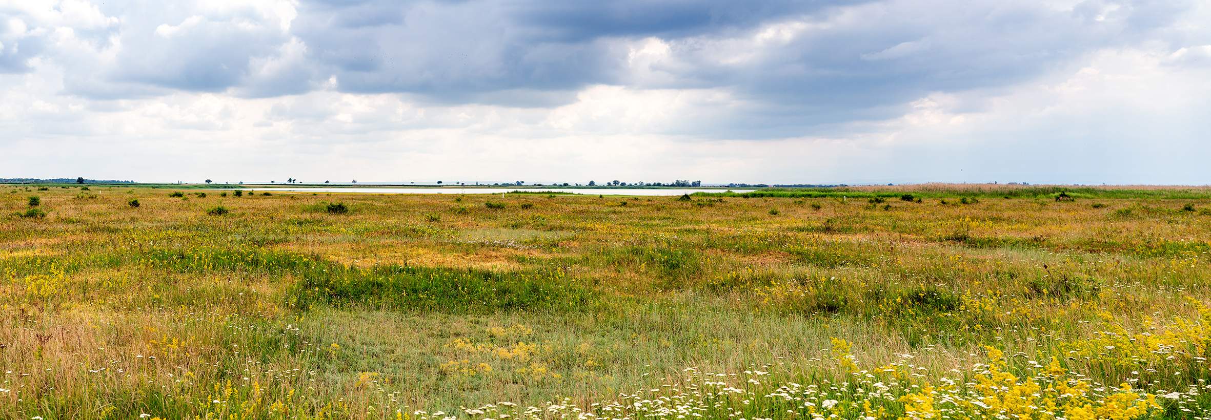 Nationalpark Lange Lacke