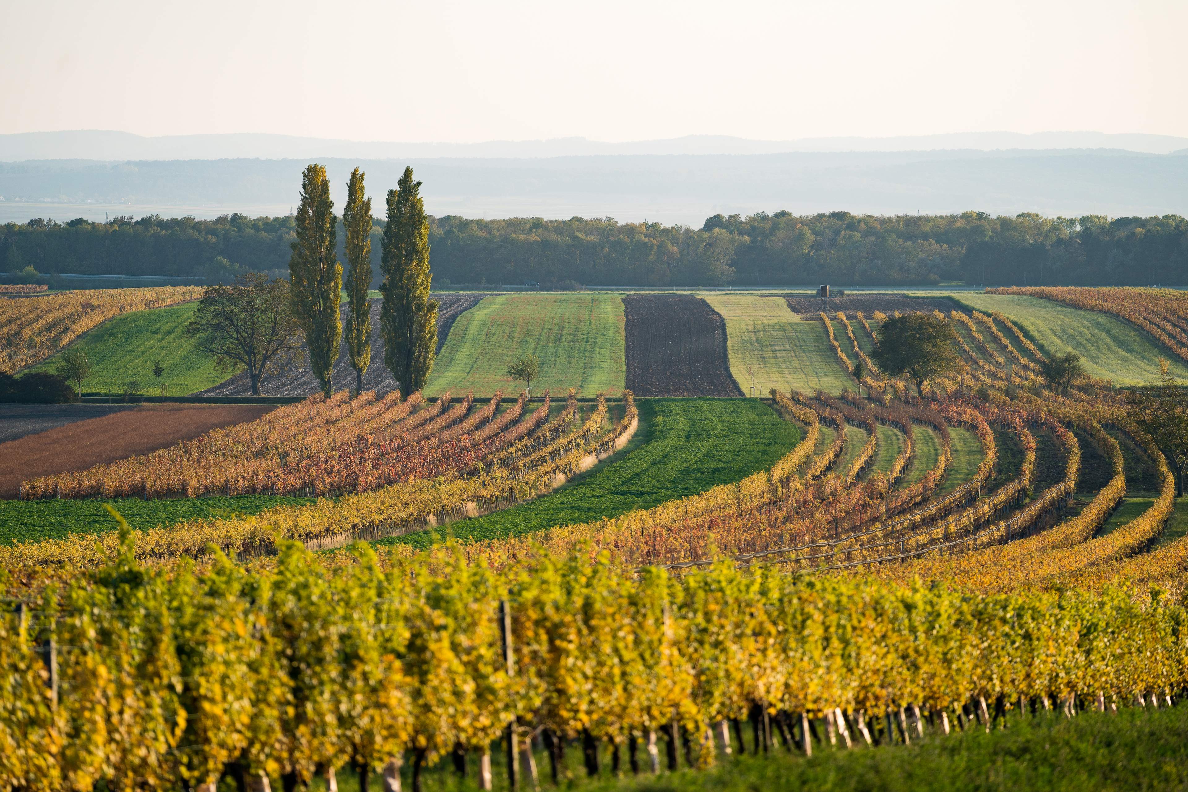 Rust​​​​‌﻿‍﻿​‍​‍‌‍﻿﻿‌﻿​‍‌‍‍‌‌‍‌﻿‌‍‍‌‌‍﻿‍​‍​‍​﻿‍‍​‍​‍‌﻿​﻿‌‍​‌‌‍﻿‍‌‍‍‌‌﻿‌​‌﻿‍‌​‍﻿‍‌‍‍‌‌‍﻿﻿​‍​‍​‍﻿​​‍​‍‌‍‍​‌﻿​‍‌‍‌‌‌‍‌‍​‍​‍​﻿‍‍​‍​‍‌‍‍​‌﻿‌​‌﻿‌​‌﻿​​‌﻿​﻿​﻿‍‍​‍﻿﻿​‍﻿﻿‌﻿​﻿‌﻿‌​‌﻿‌‌‌‍‌​‌‍‍‌‌‍﻿﻿​‍﻿‍‌‍﻿‌‌‍﻿﻿‌﻿‌‌‌‍﻿‍‌﻿‌​‌‍​‌‌‍‍‌‌‍﻿‍‌﻿​﻿‌‍​‌‌‍﻿‍‌‍‌​‌‍﻿​‌‍​‌‌‍‍﻿‌‍‌‌‌﻿​﻿​‍﻿‍‌‍​‌‌﻿‌​​‍﻿﻿‌‍‍‌‌‍﻿‍‌﻿‌​‌‍‌‌‌‍﻿‍‌﻿‌​​‍﻿﻿‌‍‌‌‌‍‌​‌‍‍‌‌﻿‌​​‍﻿﻿‌‍﻿‌‌‍﻿﻿‌‍‌​‌‍‌‌​﻿﻿‌‌﻿​​‌﻿​‍‌‍‌‌‌﻿​﻿‌‍‌‌‌‍﻿‍‌﻿‌​‌‍​‌‌﻿‌​‌‍‍‌‌‍﻿﻿‌‍﻿‍​﻿‍﻿‌‍‍‌‌‍‌​​﻿﻿‌​﻿​‌​﻿​﻿​﻿‌‍‌‍‌​‌‍​‌​﻿​‌​﻿‌﻿​﻿‌﻿​‍﻿‌‌‍‌​​﻿‍‌​﻿​﻿​﻿‌​​‍﻿‌​﻿‌​​﻿​﻿​﻿​​‌‍​‍​‍﻿‌​﻿‍‌‌‍​‍​﻿‌‌‌‍​﻿​‍﻿‌​﻿‍​‌‍‌‌​﻿‍‌​﻿​​​﻿‌​​﻿‌​‌‍‌‌​﻿​‌‌‍​﻿‌‍​﻿​﻿​﻿‌‍​﻿​﻿‍﻿‌﻿‌​‌﻿‍‌‌﻿​​‌‍‌‌​﻿﻿‌‌﻿​​‌‍​‌‌‍‌﻿‌‍‌‌​﻿‍﻿‌﻿​​‌‍​‌‌﻿‌​‌‍‍​​﻿﻿‌‌﻿‌﻿‌‍‌‌‌‍﻿​‌‍​﻿‌‍﻿﻿‌‍﻿‌‌‍‌‌‌​‍‌‌‍﻿‌‌‍​‌‌‍‌﻿‌‍‌‌‌﻿​﻿​‍‌‌​﻿‌‌‌​​‍‌‌﻿﻿‌‍‍﻿‌‍‌‌‌﻿‍‌​‍‌‌​﻿​﻿‌​‌​​‍‌‌​﻿​﻿‌​‌​​‍‌‌​﻿​‍​﻿​‍‌‍​‍‌‍​﻿‌‍‌​‌‍‌‍​﻿‌​​﻿‍​​﻿​​​﻿‌​​﻿​​‌‍‌‍​﻿‍​​﻿​﻿​‍‌‌​﻿​‍​﻿​‍​‍‌‌​﻿‌‌‌​‌​​‍﻿‍‌‍﻿​‌‍﻿﻿‌‍​﻿‌‍​‌‌﻿‌​‌‍‍‌‌‍﻿﻿‌‍﻿‍​﻿﻿﻿‌‍​‍‌‍​‌‌﻿​﻿‌‍‌‌‌‌‌‌‌﻿​‍‌‍﻿​​﻿﻿‌‌‍‍​‌﻿‌​‌﻿‌​‌﻿​​‌﻿​﻿​‍‌‌​﻿​﻿‌​​‌​‍‌‌​﻿​‍‌​‌‍​‍‌‌​﻿​‍‌​‌‍‌﻿​﻿‌﻿‌​‌﻿‌‌‌‍‌​‌‍‍‌‌‍﻿﻿​‍﻿‍‌‍﻿‌‌‍﻿﻿‌﻿‌‌‌‍﻿‍‌﻿‌​‌‍​‌‌‍‍‌‌‍﻿‍‌﻿​﻿‌‍​‌‌‍﻿‍‌‍‌​‌‍﻿​‌‍​‌‌‍‍﻿‌‍‌‌‌﻿​﻿​‍﻿‍‌‍​‌‌﻿‌​​‍‌‍‌‍‍‌‌‍‌​​﻿﻿‌​﻿​‌​﻿​﻿​﻿‌‍‌‍‌​‌‍​‌​﻿​‌​﻿‌﻿​﻿‌﻿​‍﻿‌‌‍‌​​﻿‍‌​﻿​﻿​﻿‌​​‍﻿‌​﻿‌​​﻿​﻿​﻿​​‌‍​‍​‍﻿‌​﻿‍‌‌‍​‍​﻿‌‌‌‍​﻿​‍﻿‌​﻿‍​‌‍‌‌​﻿‍‌​﻿​​​﻿‌​​﻿‌​‌‍‌‌​﻿​‌‌‍​﻿‌‍​﻿​﻿​﻿‌‍​﻿​‍‌‍‌﻿‌​‌﻿‍‌‌﻿​​‌‍‌‌​﻿﻿‌‌﻿​​‌‍​‌‌‍‌﻿‌‍‌‌​‍‌‍‌﻿​​‌‍​‌‌﻿‌​‌‍‍​​﻿﻿‌‌﻿‌﻿‌‍‌‌‌‍﻿​‌‍​﻿‌‍﻿﻿‌‍﻿‌‌‍‌‌‌​‍‌‌‍﻿‌‌‍​‌‌‍‌﻿‌‍‌‌‌﻿​﻿​‍‌‌​﻿‌‌‌​​‍‌‌﻿﻿‌‍‍﻿‌‍‌‌‌﻿‍‌​‍‌‌​﻿​﻿‌​‌​​‍‌‌​﻿​﻿‌​‌​​‍‌‌​﻿​‍​﻿​‍‌‍​‍‌‍​﻿‌‍‌​‌‍‌‍​﻿‌​​﻿‍​​﻿​​​﻿‌​​﻿​​‌‍‌‍​﻿‍​​﻿​﻿​‍‌‌​﻿​‍​﻿​‍​‍‌‌​﻿‌‌‌​‌​​‍﻿‍‌‍﻿​‌‍﻿﻿‌‍​﻿‌‍​‌‌﻿‌​‌‍‍‌‌‍﻿﻿‌‍﻿‍​‍‌‍‌﻿​​‌‍‌‌‌﻿​‍‌﻿​﻿‌﻿​​‌‍‌‌‌‍​﻿‌﻿‌​‌‍‍‌‌﻿‌‍‌‍‌‌​﻿﻿‌‌﻿​​‌﻿‌‌‌‍​‍‌‍﻿​‌‍‍‌‌﻿​﻿‌‍‍​‌‍‌‌‌‍‌​​‍​‍‌﻿﻿‌