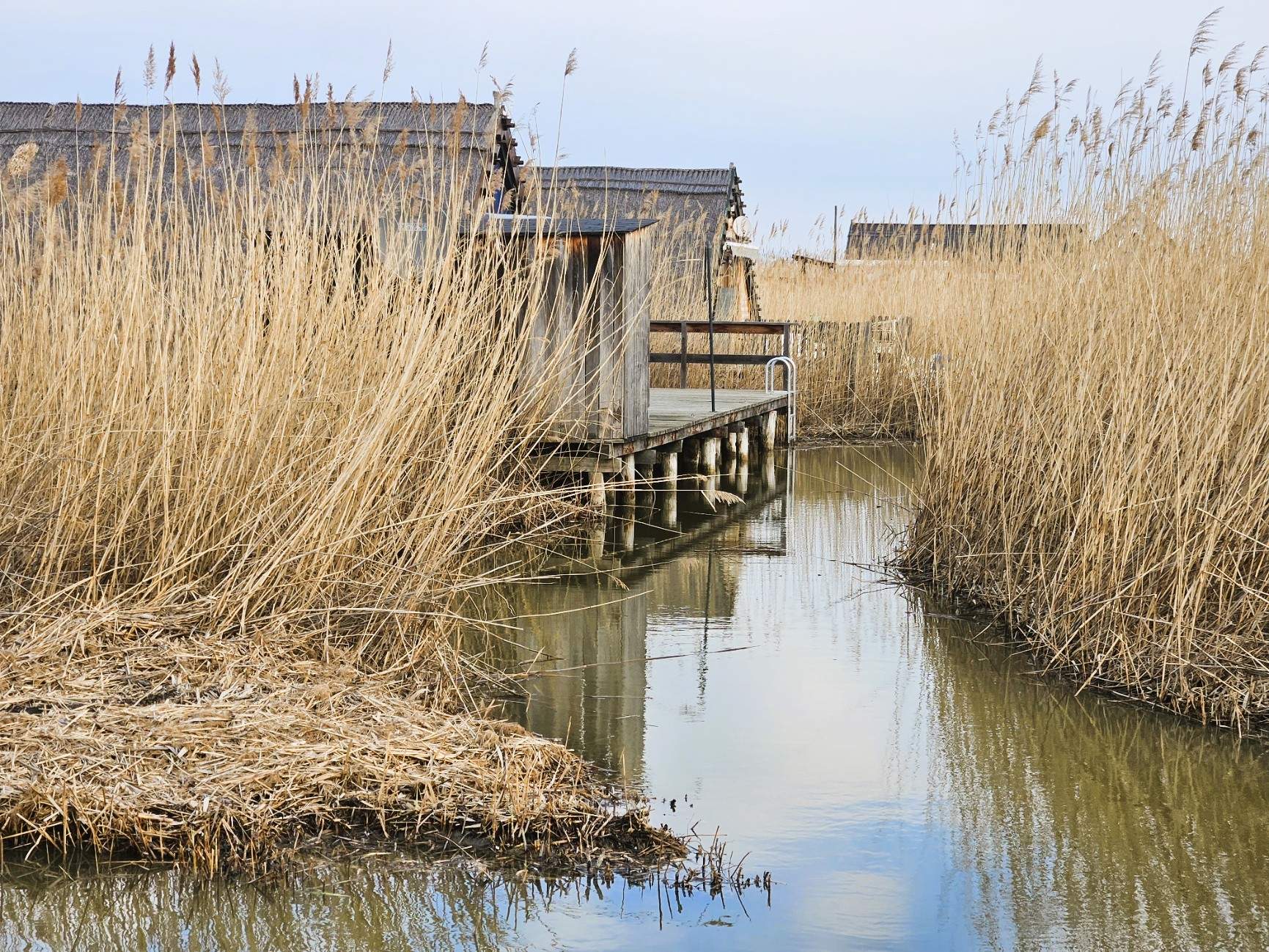 natural pool & direct lake access