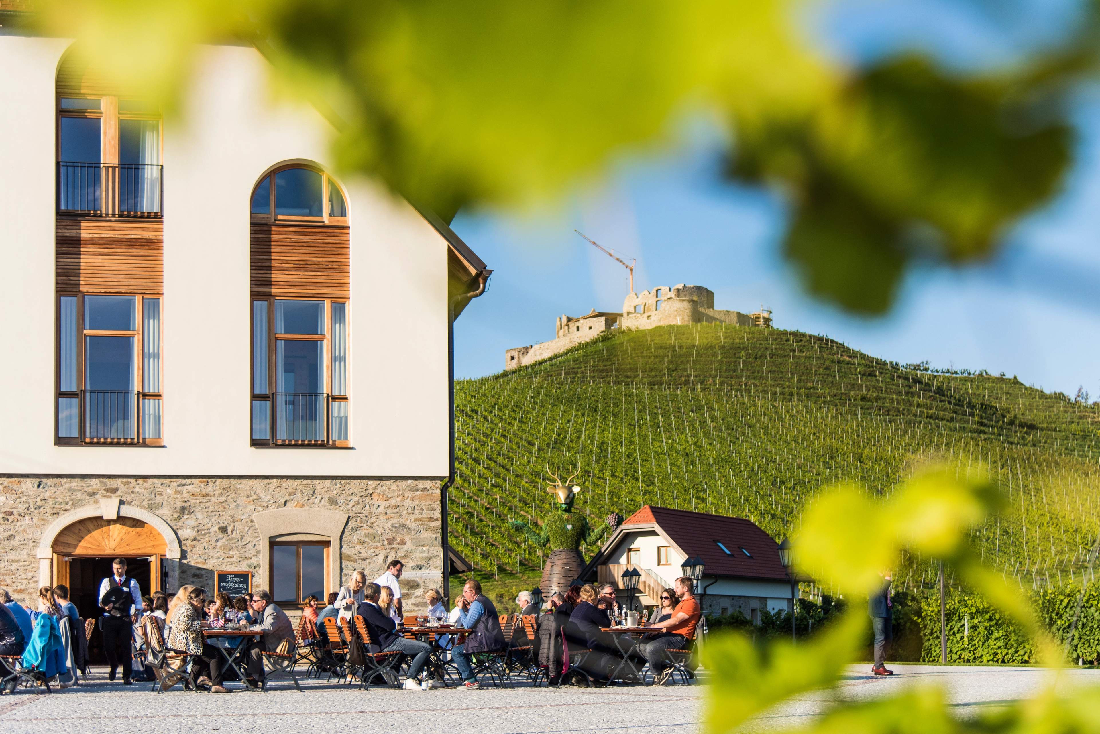 Genießen Sie ein Glas Wein im Weingut und Schloss Taggenbrunn