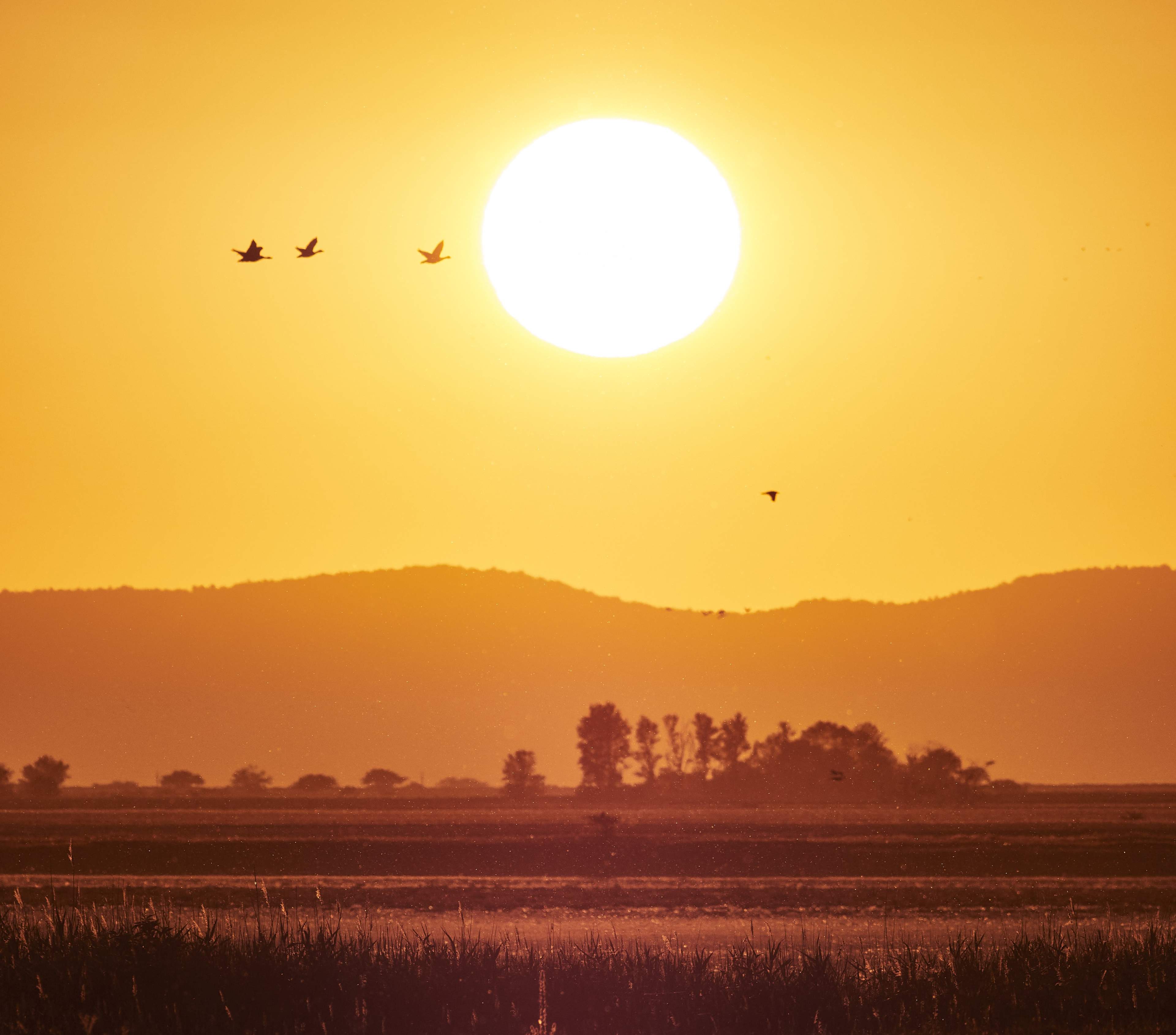 Seewinkel​​​​‌﻿‍﻿​‍​‍‌‍﻿﻿‌﻿​‍‌‍‍‌‌‍‌﻿‌‍‍‌‌‍﻿‍​‍​‍​﻿‍‍​‍​‍‌﻿​﻿‌‍​‌‌‍﻿‍‌‍‍‌‌﻿‌​‌﻿‍‌​‍﻿‍‌‍‍‌‌‍﻿﻿​‍​‍​‍﻿​​‍​‍‌‍‍​‌﻿​‍‌‍‌‌‌‍‌‍​‍​‍​﻿‍‍​‍​‍‌‍‍​‌﻿‌​‌﻿‌​‌﻿​​‌﻿​﻿​﻿‍‍​‍﻿﻿​‍﻿﻿‌﻿​﻿‌﻿‌​‌﻿‌‌‌‍‌​‌‍‍‌‌‍﻿﻿​‍﻿‍‌‍﻿‌‌‍﻿﻿‌﻿‌‌‌‍﻿‍‌﻿‌​‌‍​‌‌‍‍‌‌‍﻿‍‌﻿​﻿‌‍​‌‌‍﻿‍‌‍‌​‌‍﻿​‌‍​‌‌‍‍﻿‌‍‌‌‌﻿​﻿​‍﻿‍‌‍​‌‌﻿‌​​‍﻿﻿‌‍‍‌‌‍﻿‍‌﻿‌​‌‍‌‌‌‍﻿‍‌﻿‌​​‍﻿﻿‌‍‌‌‌‍‌​‌‍‍‌‌﻿‌​​‍﻿﻿‌‍﻿‌‌‍﻿﻿‌‍‌​‌‍‌‌​﻿﻿‌‌﻿​​‌﻿​‍‌‍‌‌‌﻿​﻿‌‍‌‌‌‍﻿‍‌﻿‌​‌‍​‌‌﻿‌​‌‍‍‌‌‍﻿﻿‌‍﻿‍​﻿‍﻿‌‍‍‌‌‍‌​​﻿﻿‌​﻿​‌​﻿​﻿​﻿‌‍‌‍‌​‌‍​‌​﻿​‌​﻿‌﻿​﻿‌﻿​‍﻿‌‌‍‌​​﻿‍‌​﻿​﻿​﻿‌​​‍﻿‌​﻿‌​​﻿​﻿​﻿​​‌‍​‍​‍﻿‌​﻿‍‌‌‍​‍​﻿‌‌‌‍​﻿​‍﻿‌​﻿‍​‌‍‌‌​﻿‍‌​﻿​​​﻿‌​​﻿‌​‌‍‌‌​﻿​‌‌‍​﻿‌‍​﻿​﻿​﻿‌‍​﻿​﻿‍﻿‌﻿‌​‌﻿‍‌‌﻿​​‌‍‌‌​﻿﻿‌‌﻿​​‌‍​‌‌‍‌﻿‌‍‌‌​﻿‍﻿‌﻿​​‌‍​‌‌﻿‌​‌‍‍​​﻿﻿‌‌﻿‌﻿‌‍‌‌‌‍﻿​‌‍​﻿‌‍﻿﻿‌‍﻿‌‌‍‌‌‌​‍‌‌‍﻿‌‌‍​‌‌‍‌﻿‌‍‌‌‌﻿​﻿​‍‌‌​﻿‌‌‌​​‍‌‌﻿﻿‌‍‍﻿‌‍‌‌‌﻿‍‌​‍‌‌​﻿​﻿‌​‌​​‍‌‌​﻿​﻿‌​‌​​‍‌‌​﻿​‍​﻿​‍​﻿​​‌‍​‍​﻿‌‌​﻿‌​​﻿​﻿​﻿‍​​﻿‌‌​﻿‍‌​﻿‌‍​﻿‌​​﻿‌‍​﻿​‌​‍‌‌​﻿​‍​﻿​‍​‍‌‌​﻿‌‌‌​‌​​‍﻿‍‌‍﻿​‌‍﻿﻿‌‍​﻿‌‍​‌‌﻿‌​‌‍‍‌‌‍﻿﻿‌‍﻿‍​﻿﻿﻿‌‍​‍‌‍​‌‌﻿​﻿‌‍‌‌‌‌‌‌‌﻿​‍‌‍﻿​​﻿﻿‌‌‍‍​‌﻿‌​‌﻿‌​‌﻿​​‌﻿​﻿​‍‌‌​﻿​﻿‌​​‌​‍‌‌​﻿​‍‌​‌‍​‍‌‌​﻿​‍‌​‌‍‌﻿​﻿‌﻿‌​‌﻿‌‌‌‍‌​‌‍‍‌‌‍﻿﻿​‍﻿‍‌‍﻿‌‌‍﻿﻿‌﻿‌‌‌‍﻿‍‌﻿‌​‌‍​‌‌‍‍‌‌‍﻿‍‌﻿​﻿‌‍​‌‌‍﻿‍‌‍‌​‌‍﻿​‌‍​‌‌‍‍﻿‌‍‌‌‌﻿​﻿​‍﻿‍‌‍​‌‌﻿‌​​‍‌‍‌‍‍‌‌‍‌​​﻿﻿‌​﻿​‌​﻿​﻿​﻿‌‍‌‍‌​‌‍​‌​﻿​‌​﻿‌﻿​﻿‌﻿​‍﻿‌‌‍‌​​﻿‍‌​﻿​﻿​﻿‌​​‍﻿‌​﻿‌​​﻿​﻿​﻿​​‌‍​‍​‍﻿‌​﻿‍‌‌‍​‍​﻿‌‌‌‍​﻿​‍﻿‌​﻿‍​‌‍‌‌​﻿‍‌​﻿​​​﻿‌​​﻿‌​‌‍‌‌​﻿​‌‌‍​﻿‌‍​﻿​﻿​﻿‌‍​﻿​‍‌‍‌﻿‌​‌﻿‍‌‌﻿​​‌‍‌‌​﻿﻿‌‌﻿​​‌‍​‌‌‍‌﻿‌‍‌‌​‍‌‍‌﻿​​‌‍​‌‌﻿‌​‌‍‍​​﻿﻿‌‌﻿‌﻿‌‍‌‌‌‍﻿​‌‍​﻿‌‍﻿﻿‌‍﻿‌‌‍‌‌‌​‍‌‌‍﻿‌‌‍​‌‌‍‌﻿‌‍‌‌‌﻿​﻿​‍‌‌​﻿‌‌‌​​‍‌‌﻿﻿‌‍‍﻿‌‍‌‌‌﻿‍‌​‍‌‌​﻿​﻿‌​‌​​‍‌‌​﻿​﻿‌​‌​​‍‌‌​﻿​‍​﻿​‍​﻿​​‌‍​‍​﻿‌‌​﻿‌​​﻿​﻿​﻿‍​​﻿‌‌​﻿‍‌​﻿‌‍​﻿‌​​﻿‌‍​﻿​‌​‍‌‌​﻿​‍​﻿​‍​‍‌‌​﻿‌‌‌​‌​​‍﻿‍‌‍﻿​‌‍﻿﻿‌‍​﻿‌‍​‌‌﻿‌​‌‍‍‌‌‍﻿﻿‌‍﻿‍​‍‌‍‌﻿​​‌‍‌‌‌﻿​‍‌﻿​﻿‌﻿​​‌‍‌‌‌‍​﻿‌﻿‌​‌‍‍‌‌﻿‌‍‌‍‌‌​﻿﻿‌‌﻿​​‌﻿‌‌‌‍​‍‌‍﻿​‌‍‍‌‌﻿​﻿‌‍‍​‌‍‌‌‌‍‌​​‍​‍‌﻿﻿‌