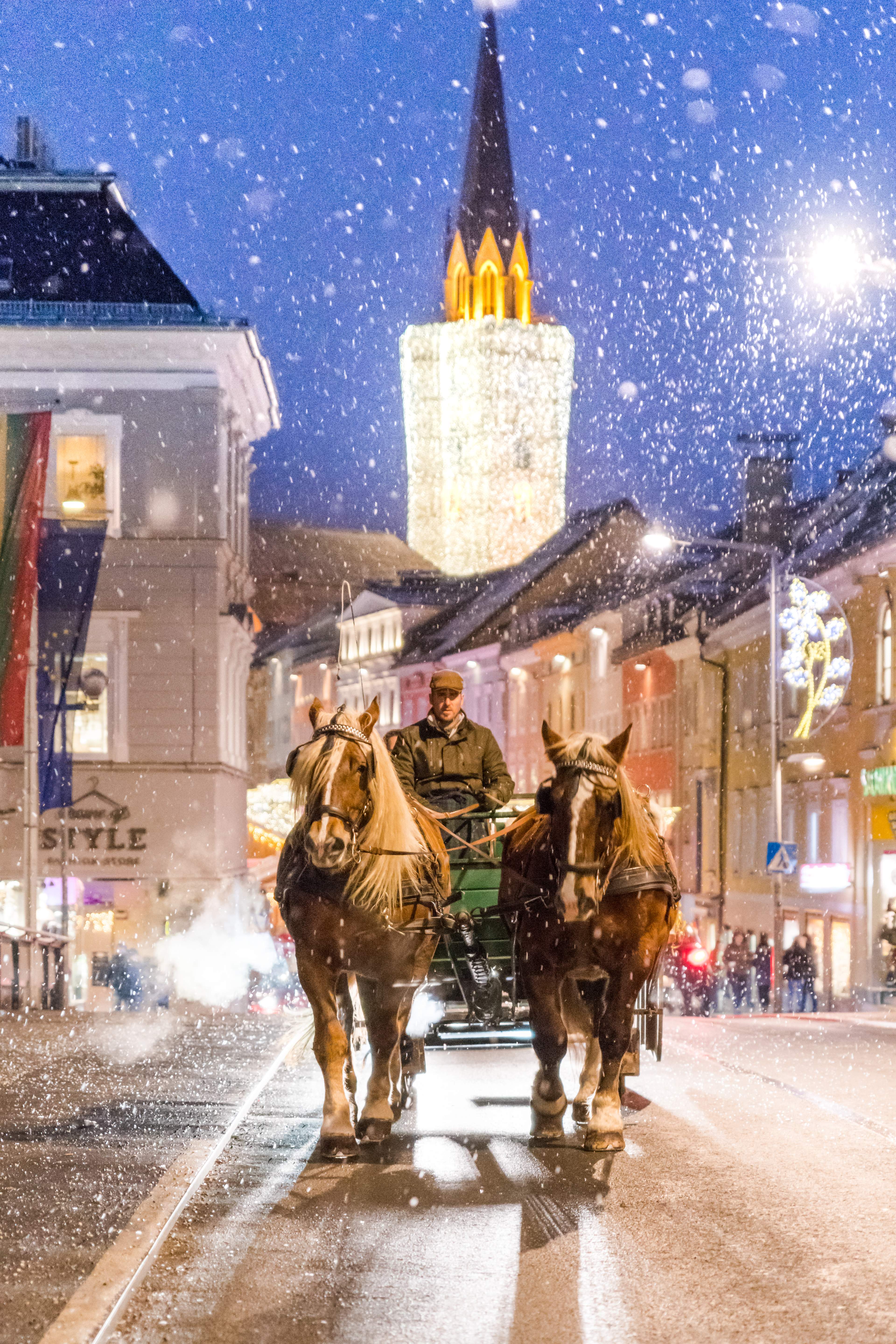 horse carriage rides