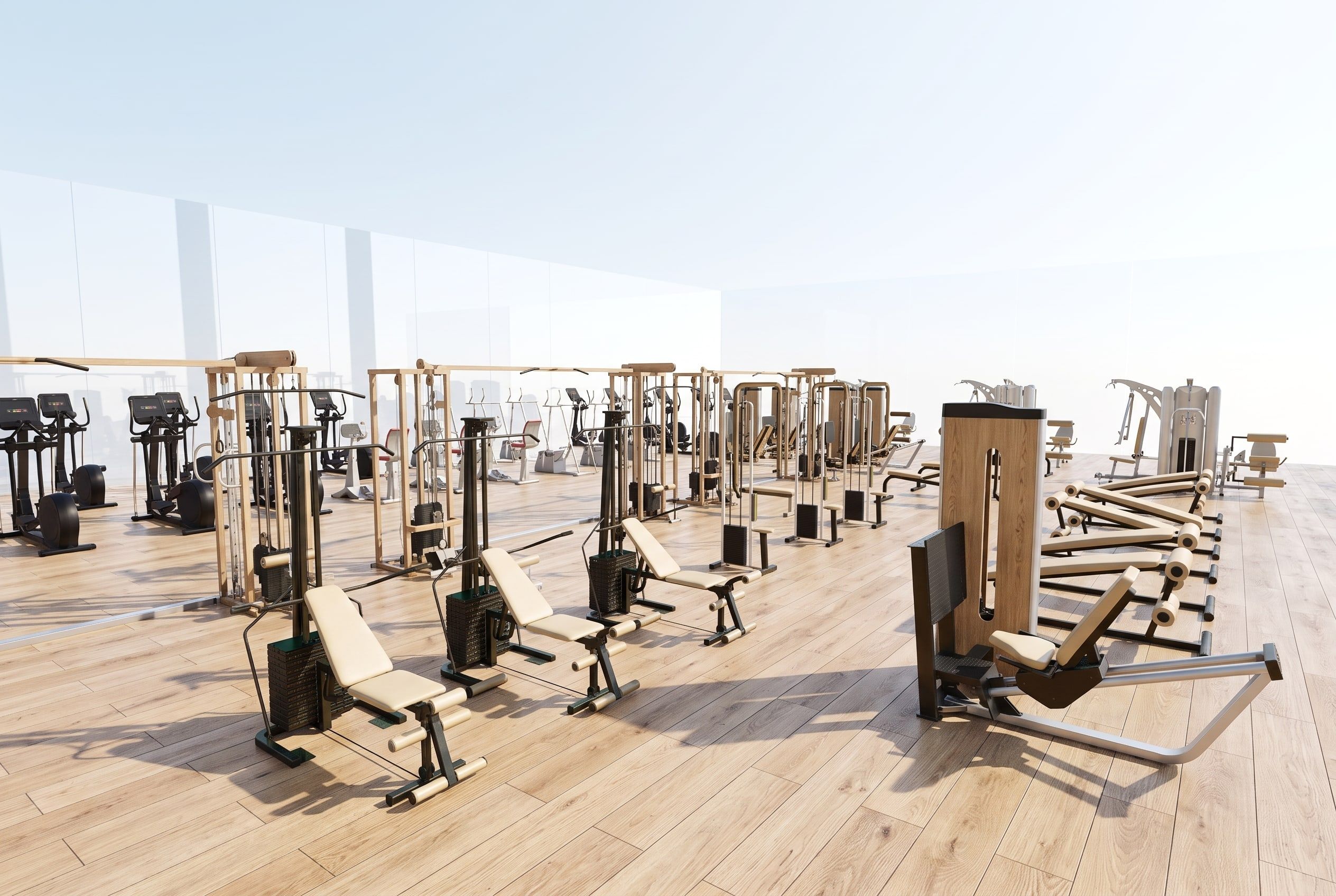 Fitness and wellbeing