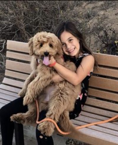 Isla student spotlight