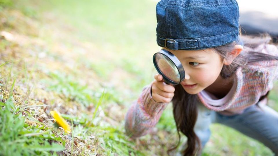 Awareness and Observation | Thinkster Math