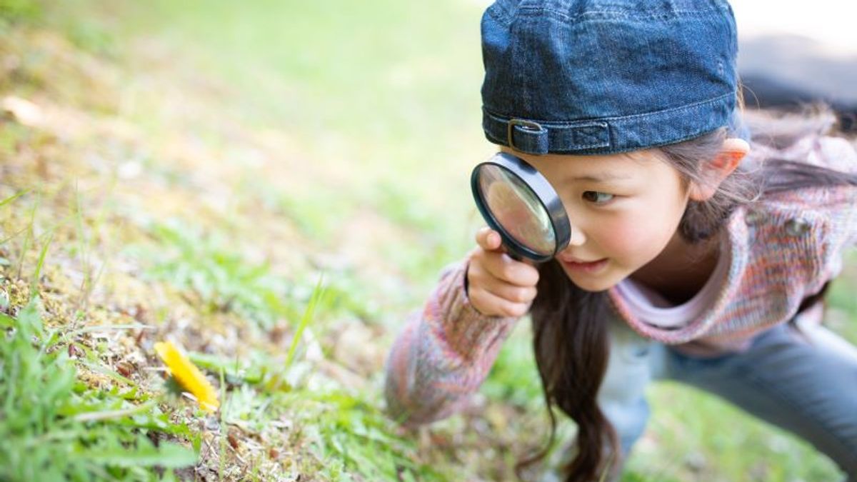 Awareness and Observation | Thinkster Math