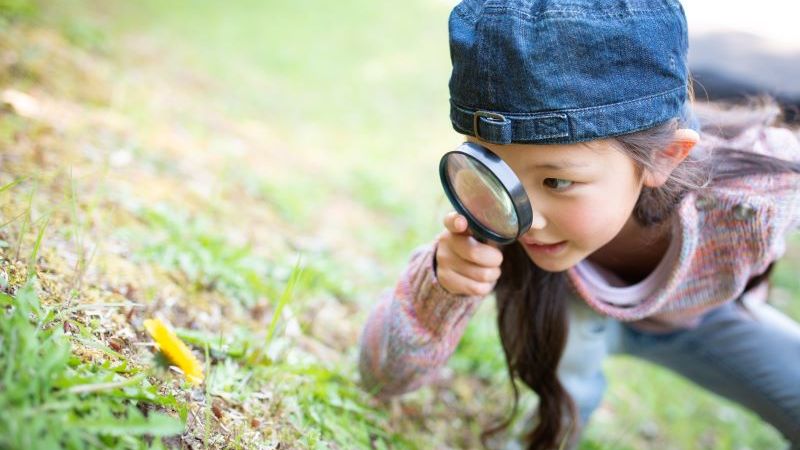 Awareness and Observation | Thinkster Math