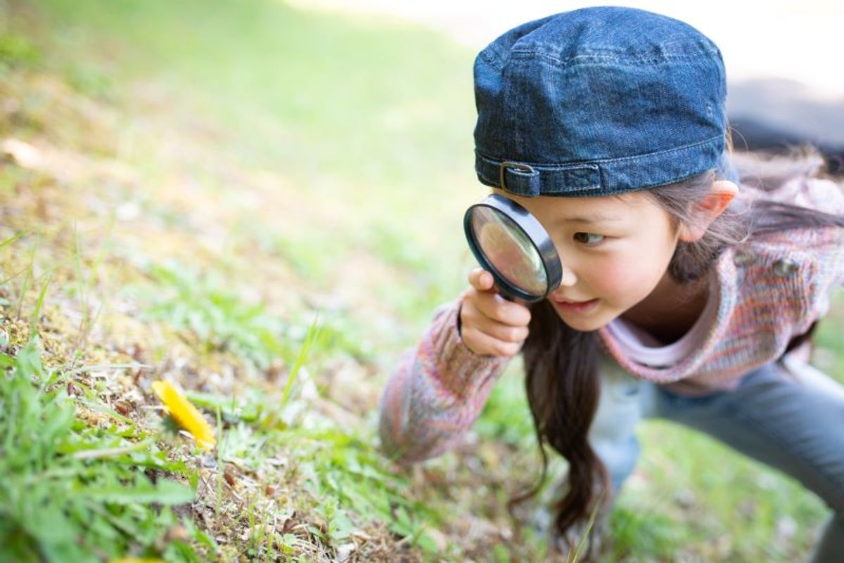 Awareness and Observation | Thinkster Math