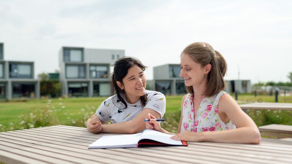 Woman tutoring student