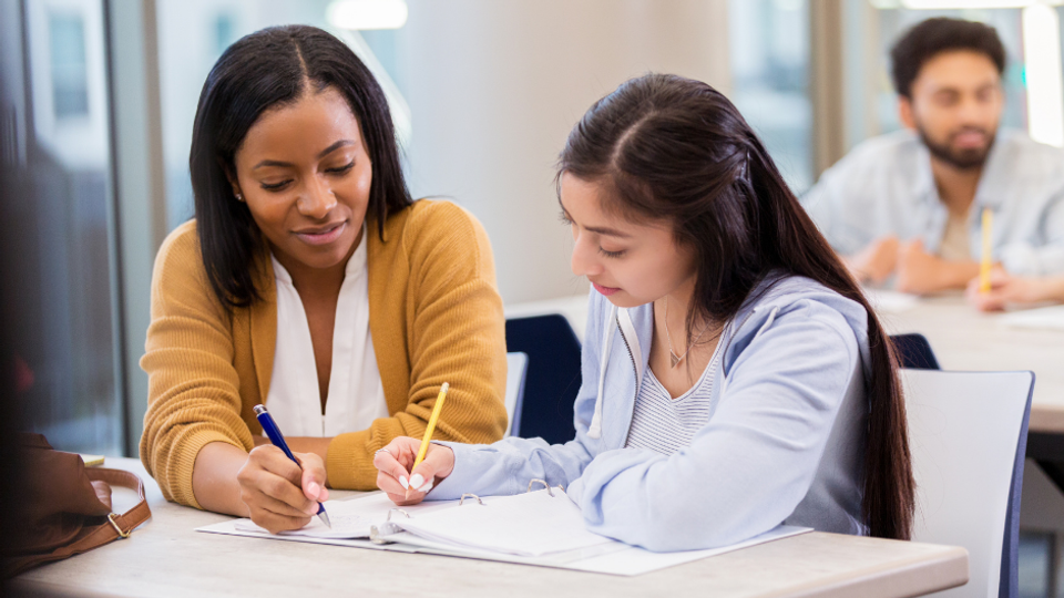 Tutor giving an in-person lesson. 