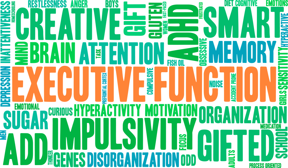 brain cloud executive function