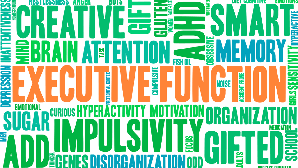 brain cloud executive function