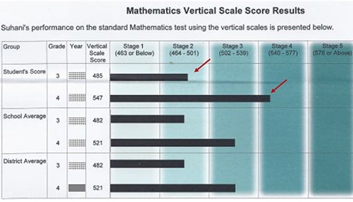Student Learning Results Math Tutor