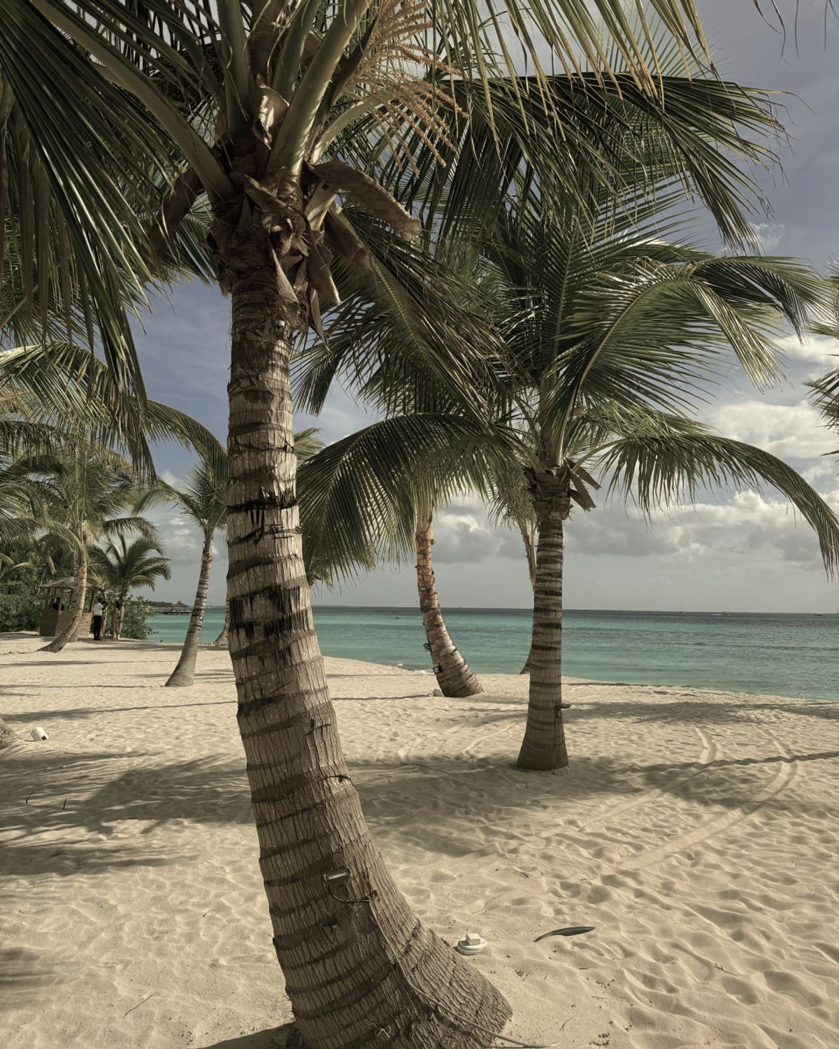 Repubblica Dominicana