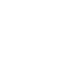 fourth rope