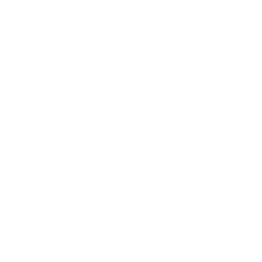 RUDIMENTS