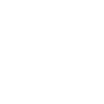 RUDIMENTS