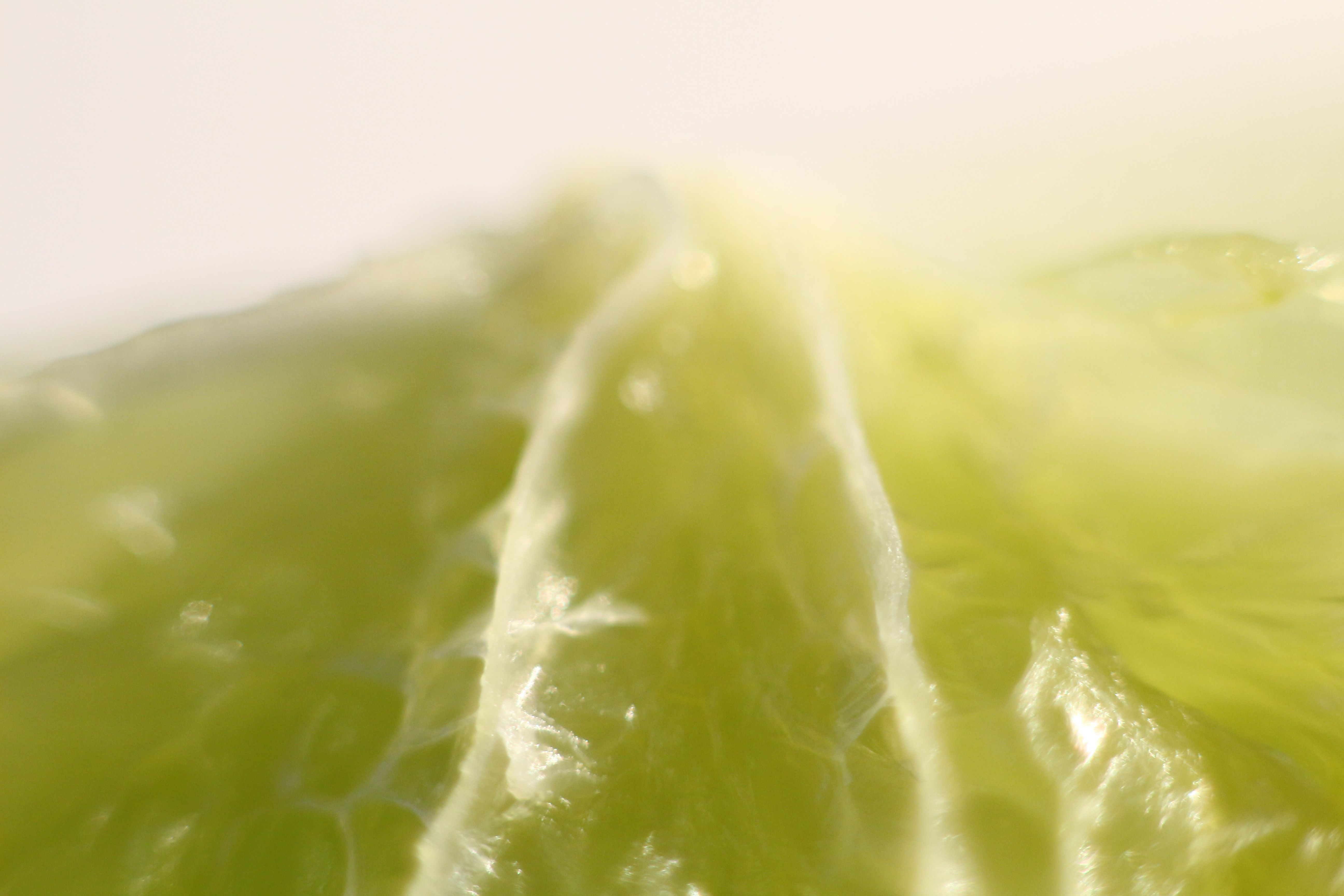 Върхът на витамина, а в комбинация с джина... Планини от лайм да има през цялата година!!